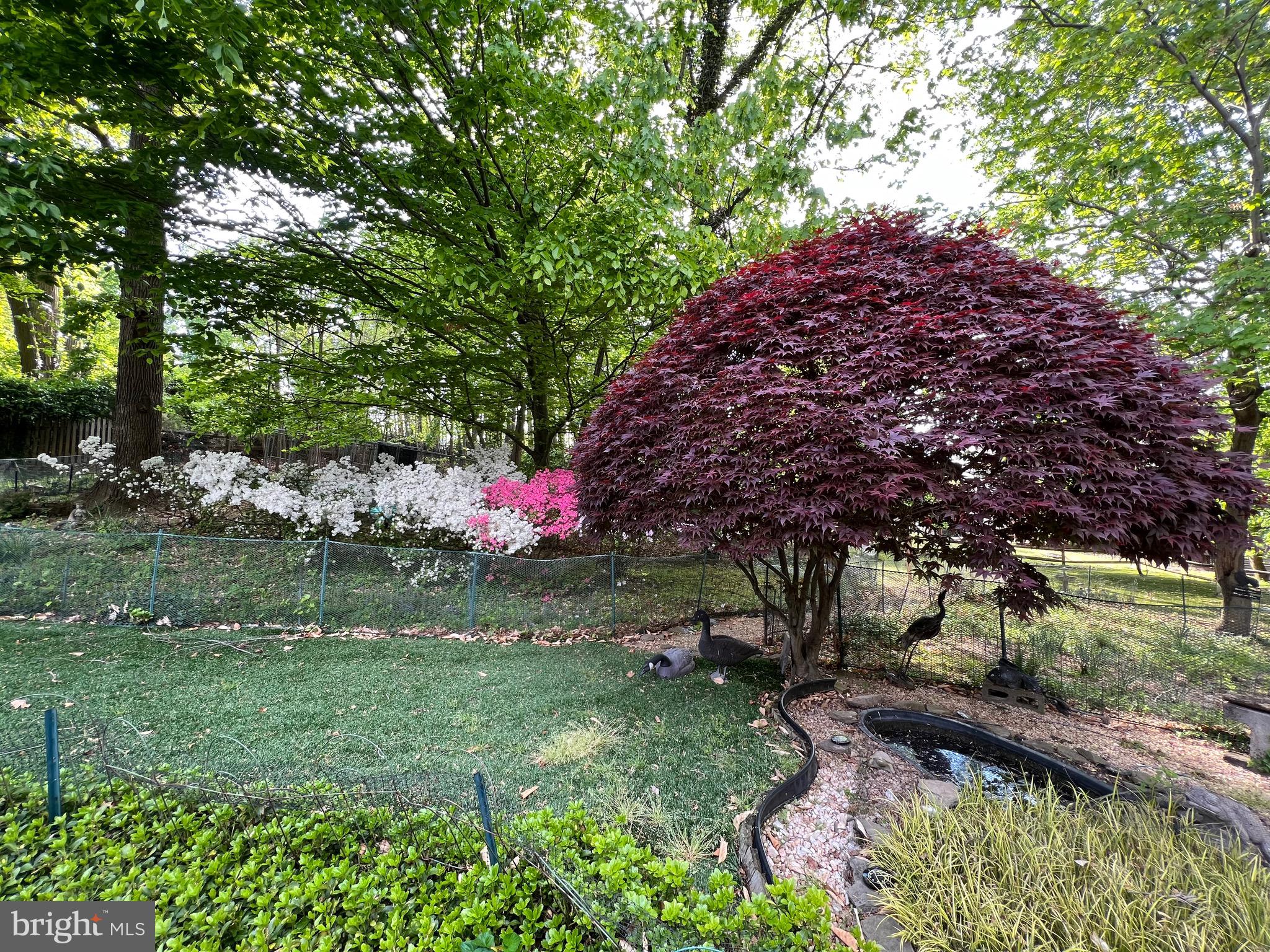 8229 Cagle Road Fort Washington, MD 20744 - Photo 57 of 61 Gallery Image 57