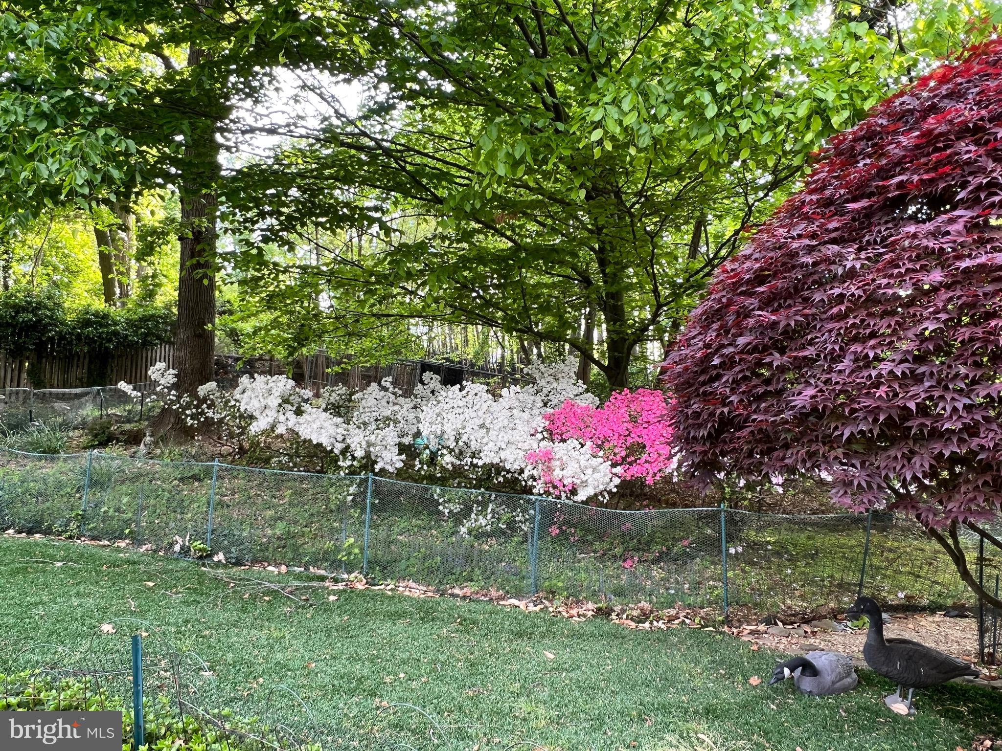 8229 Cagle Road Fort Washington, MD 20744 - Photo 58 of 61 Gallery Image 58