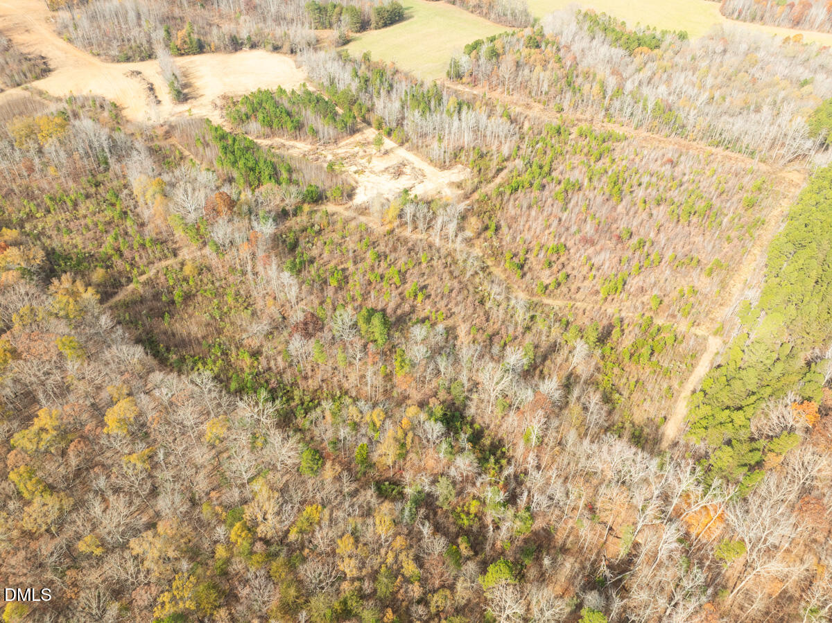 0 Mann Oakley Road Rougemont, NC 27572 - Photo 14 of 55 13