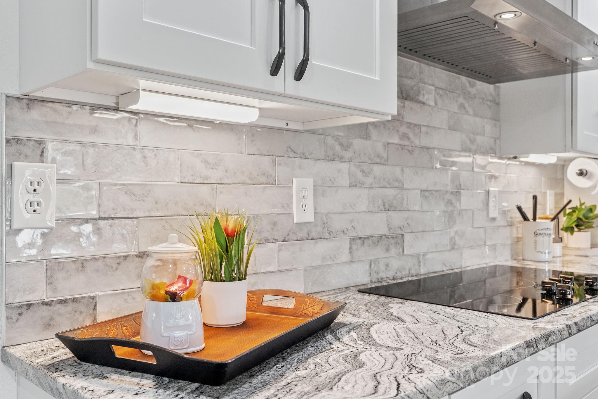 204 Mountain Spring Lane Canton, NC 28716 - Photo 15 of 45 a kitchen with a sink and a counter top space