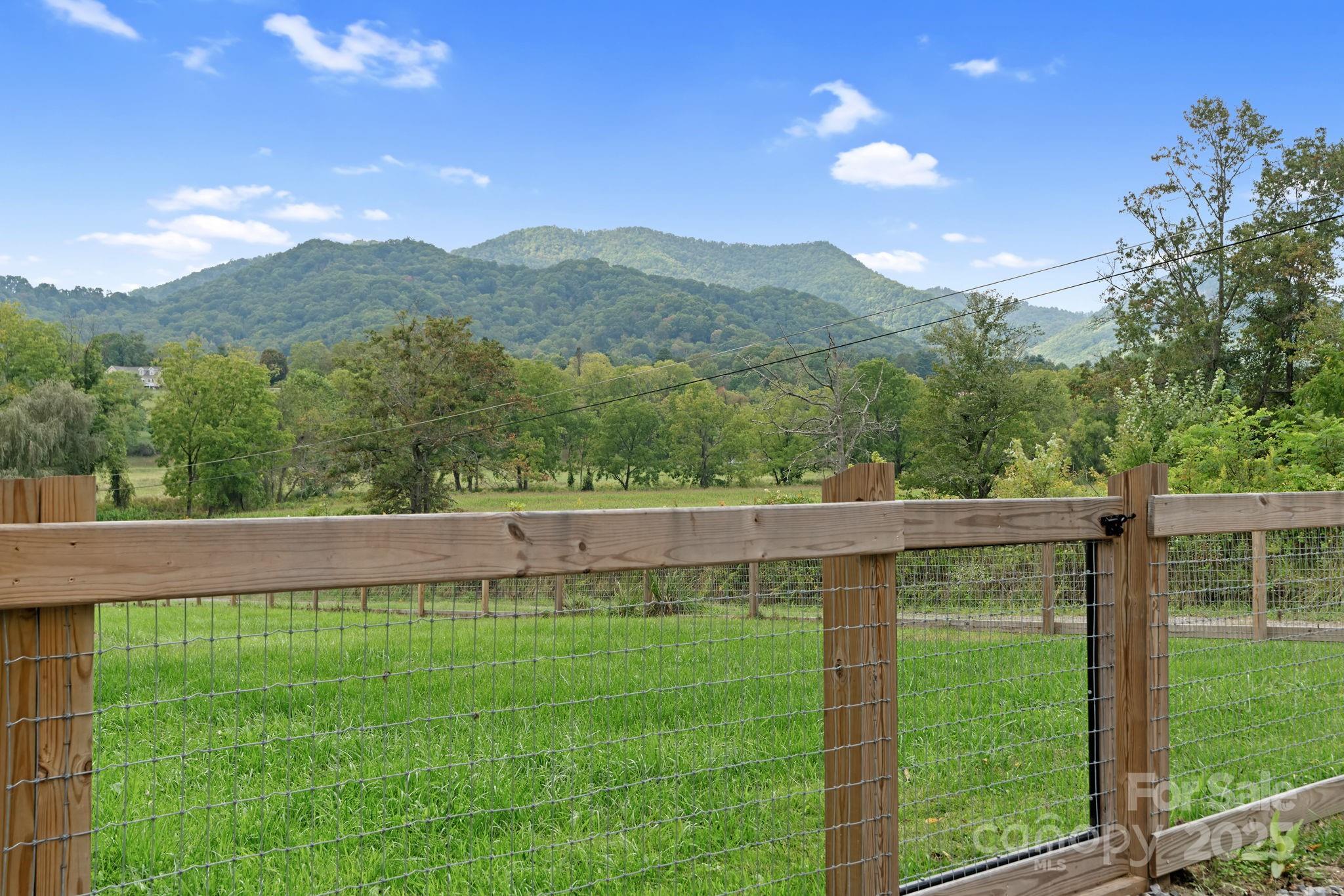 204 Mountain Spring Lane Canton, NC 28716 - Photo 43 of 45 a view of a big yard with a large tree