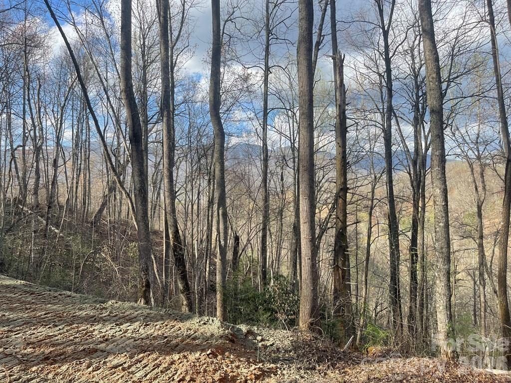 700 Copperhead Cove Road Sylva, NC 28779 - Photo 5 of 23