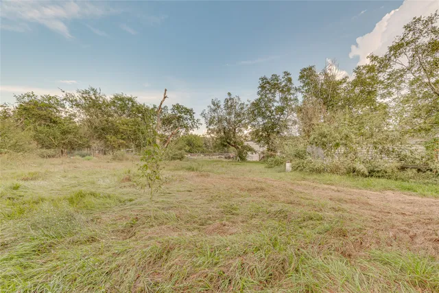 a view of a yard with an trees