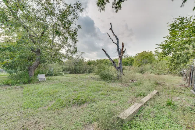 a view of a field with a tree