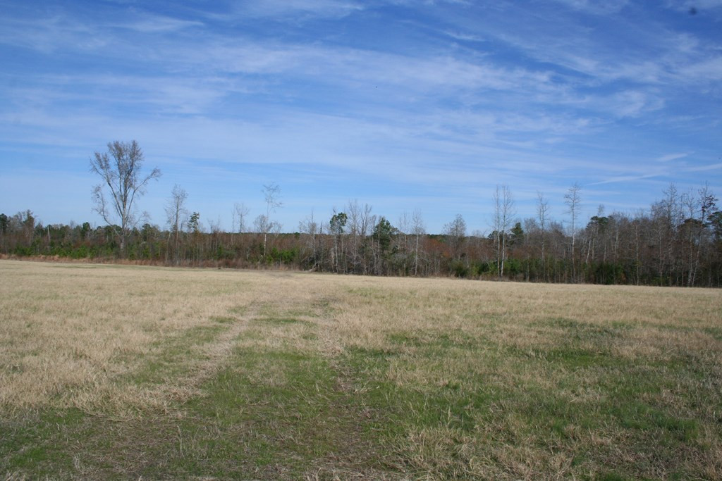 Lot 2 Wrightsboro Road Thomson, GA 30824 - Photo 2 of 4