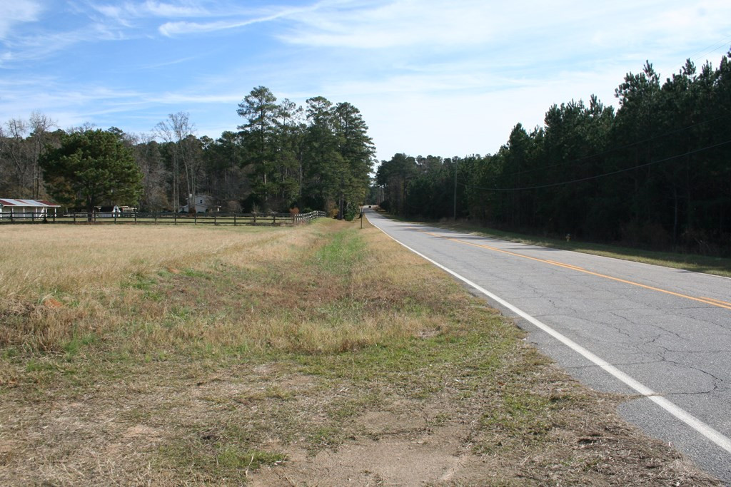 Lot 2 Wrightsboro Road Thomson, GA 30824 - Photo 3 of 4