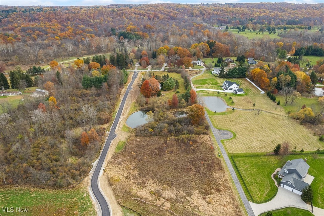 19624 Ridge Road North Royalton, OH 44133 - Photo 9 of 11 Aerial view of property's location with rural landscape and a nearby body of water