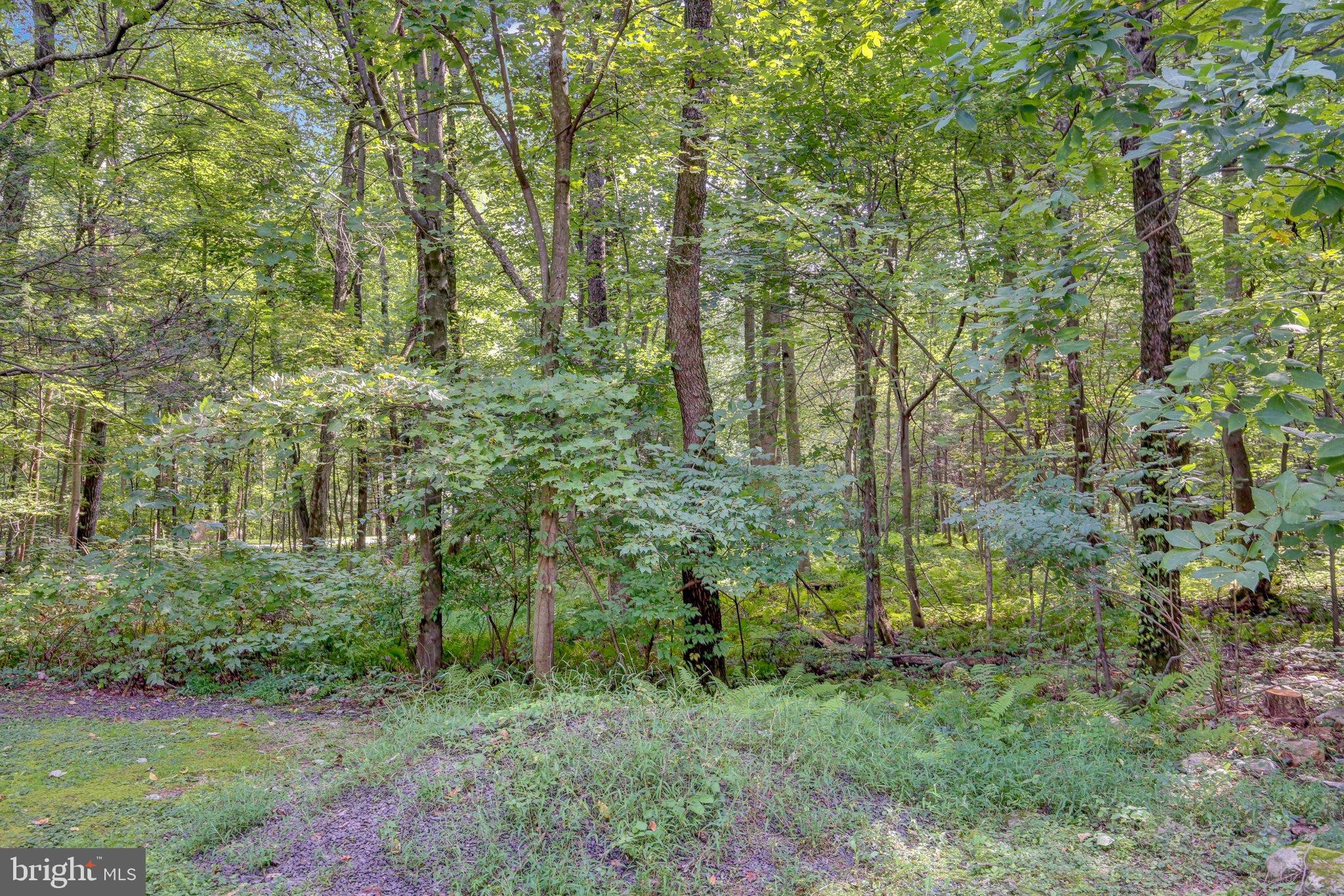 310 Faust North Road Bethel, PA 19507 - Photo 12 of 35 3I3A3391