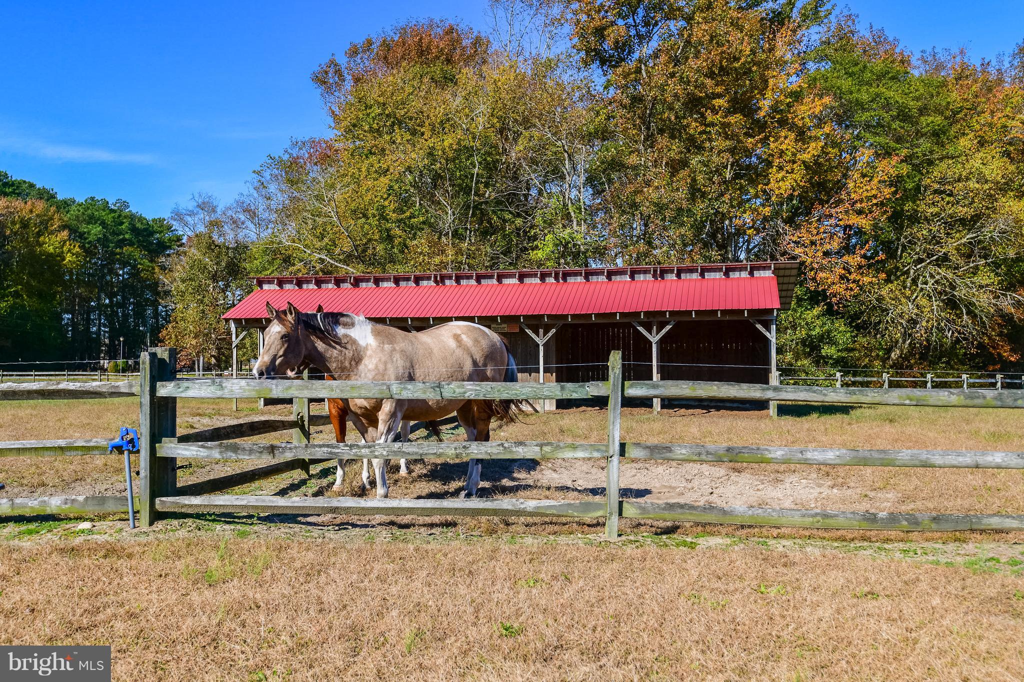 34645 Winding Road Frankford, DE 19945 - Photo 3 of 111 Pasture