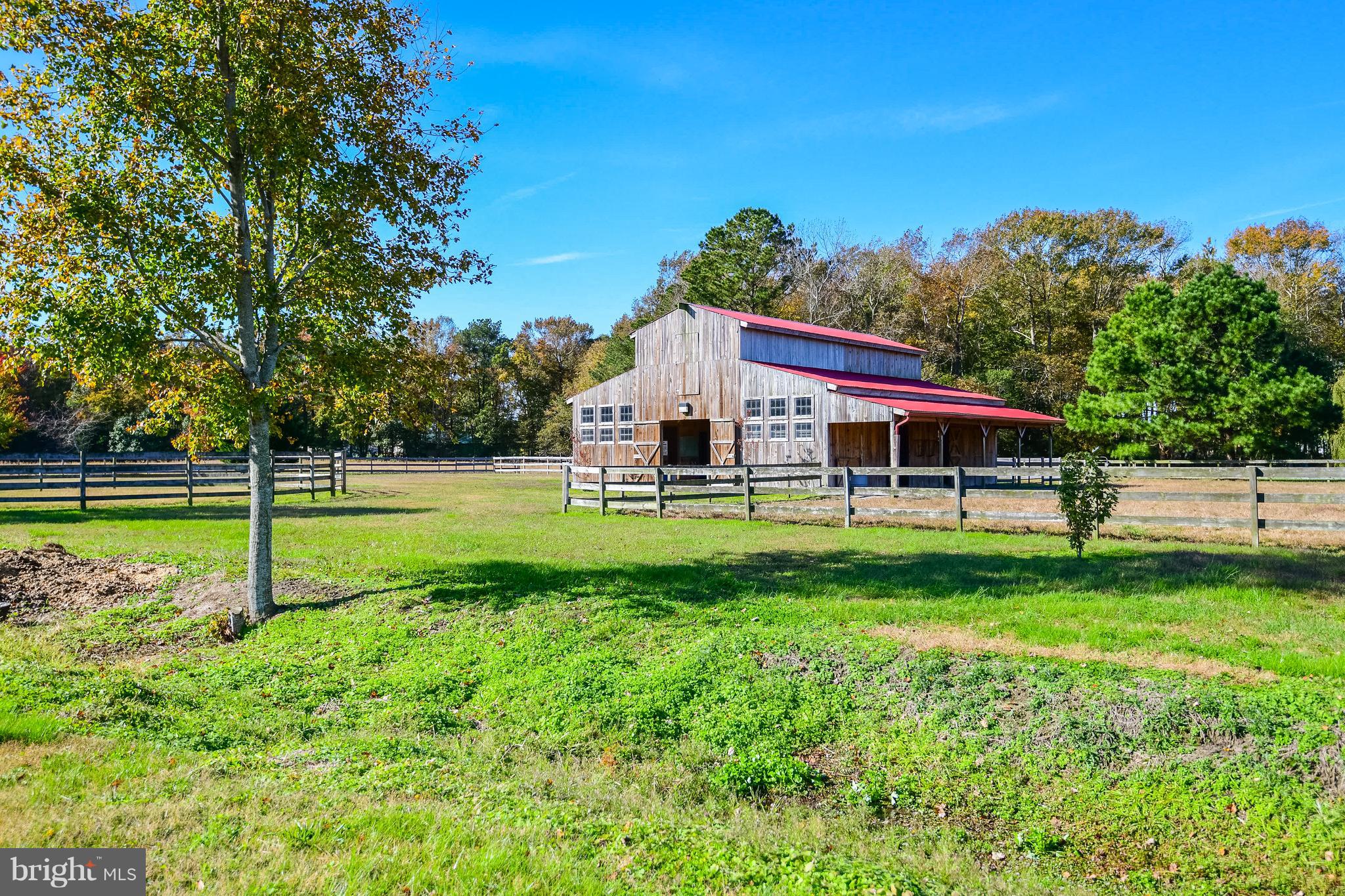 34645 Winding Road Frankford, DE 19945 - Photo 4 of 111 Working horse barn