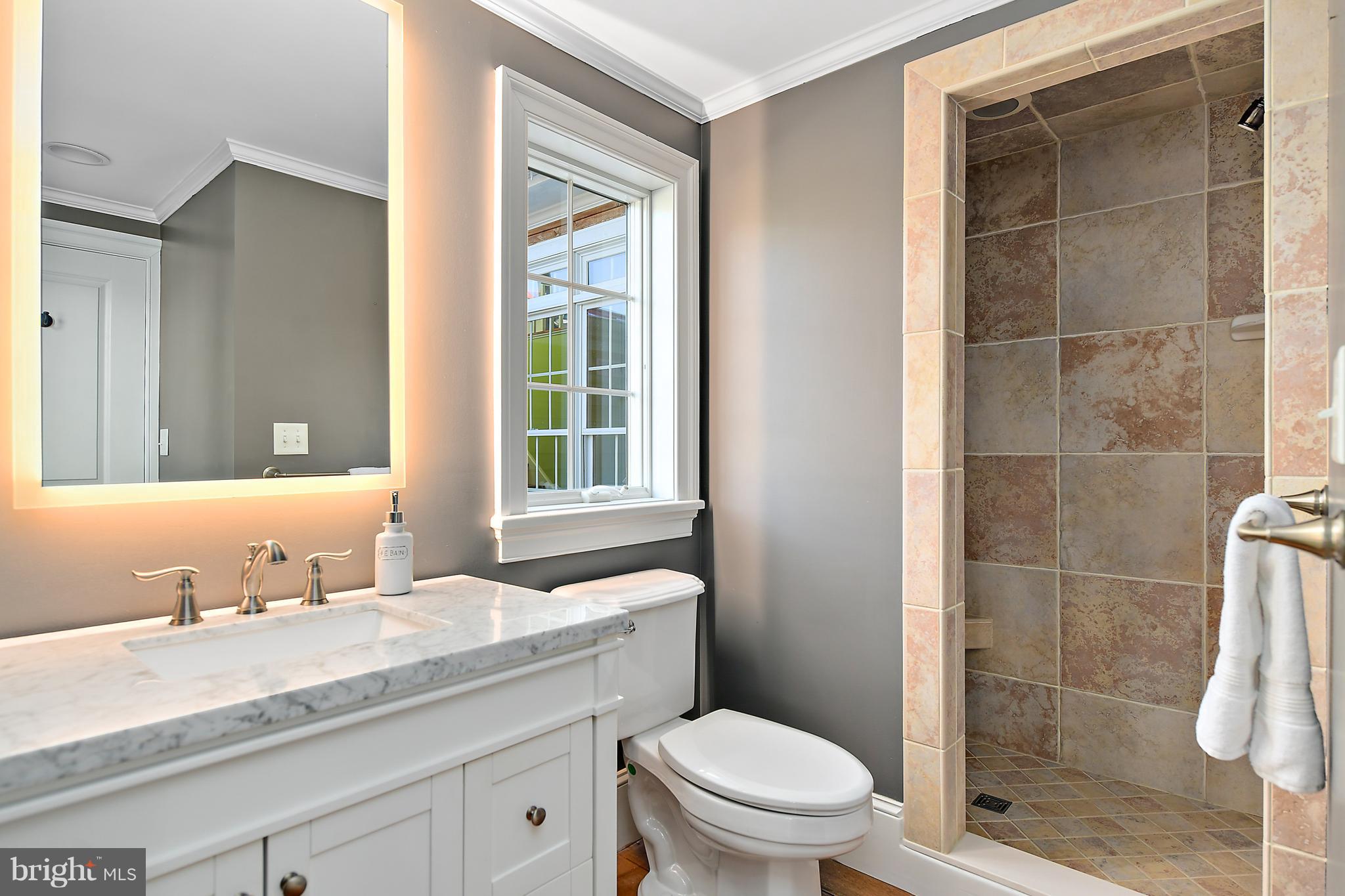 34645 Winding Road Frankford, DE 19945 - Photo 35 of 111 1st floor bath with fully tiled walk-in shower