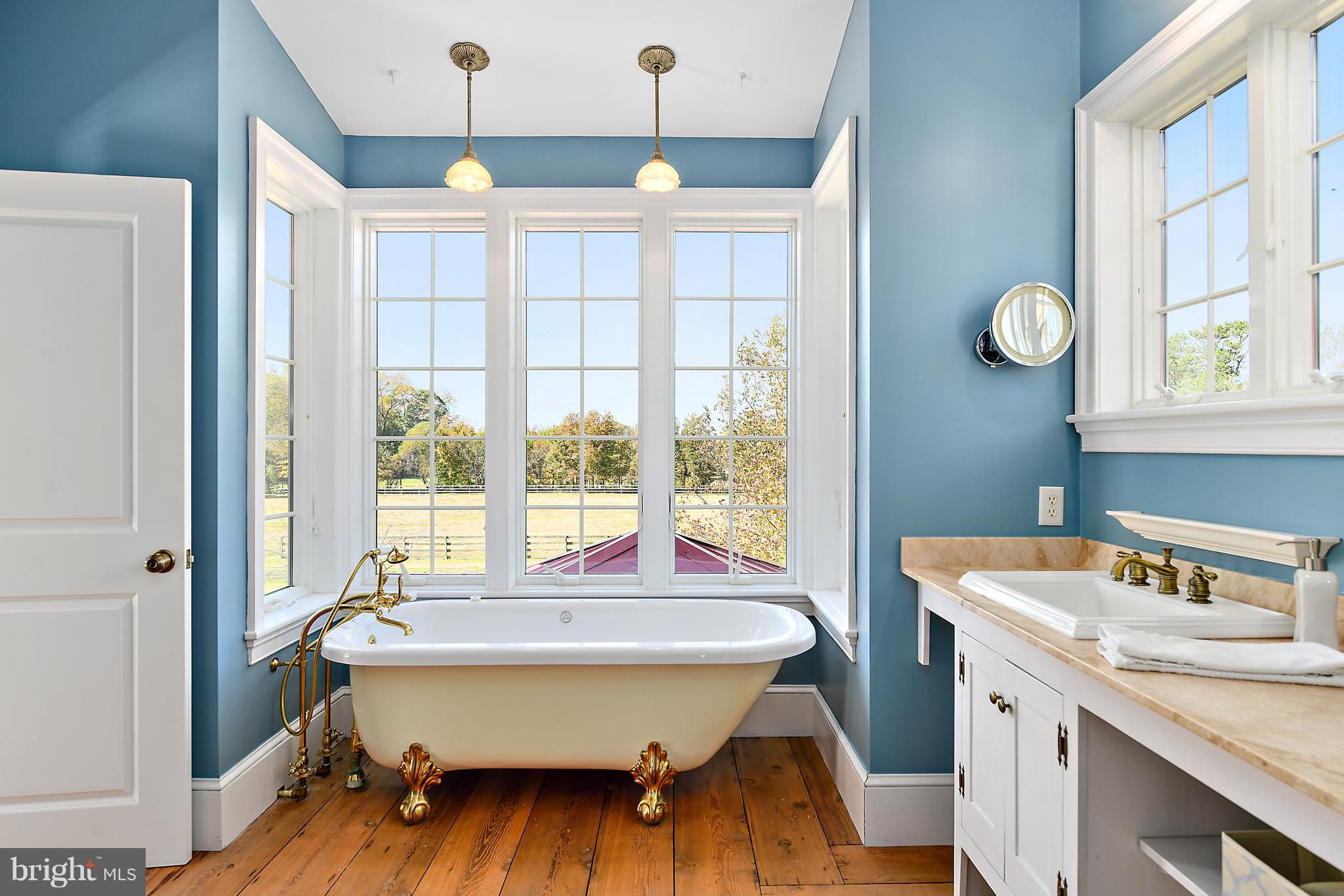 34645 Winding Road Frankford, DE 19945 - Photo 38 of 111 Master bath with footed tub with jets
