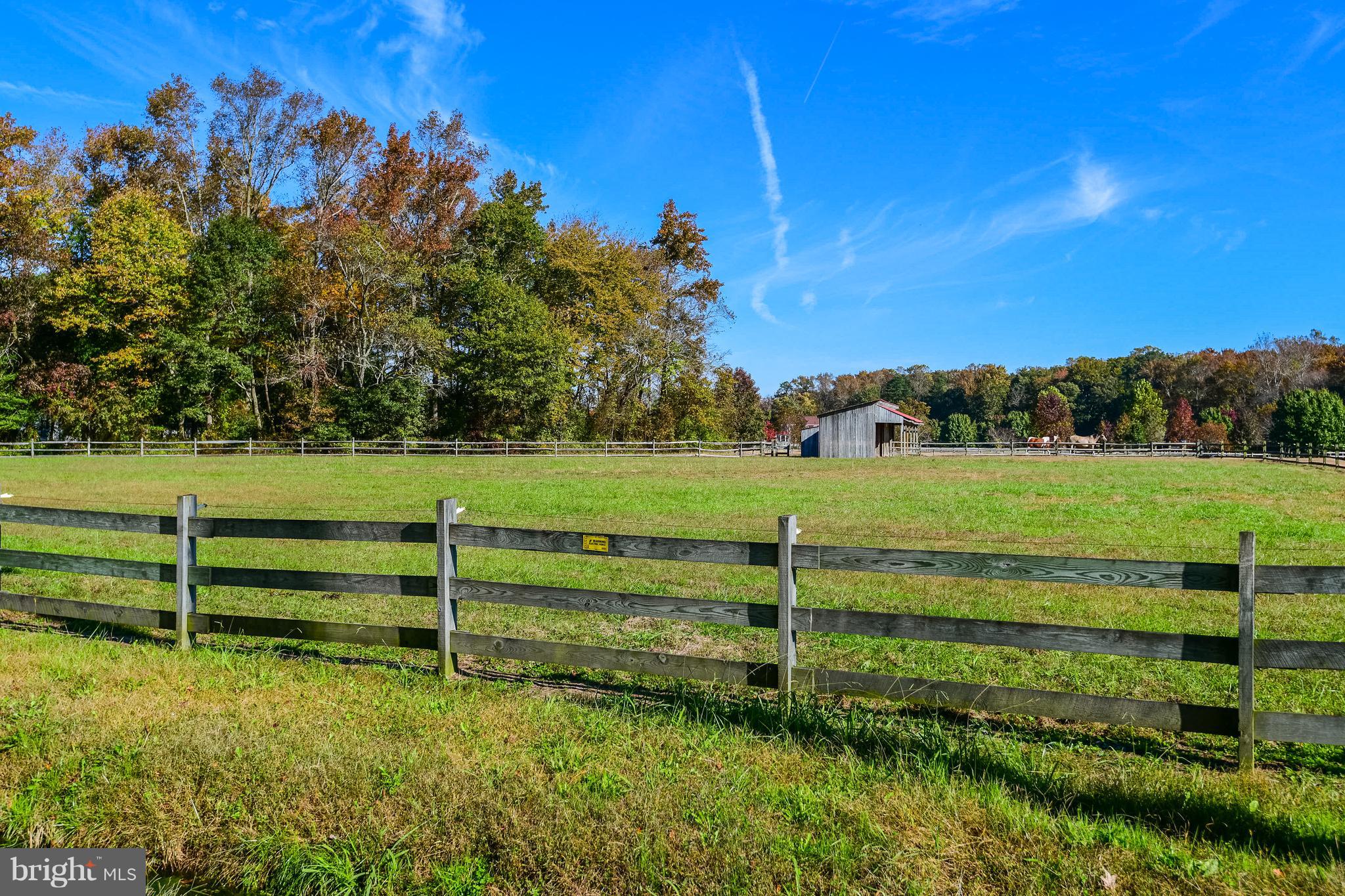 34645 Winding Road Frankford, DE 19945 - Photo 52 of 111 Fenced in pastures