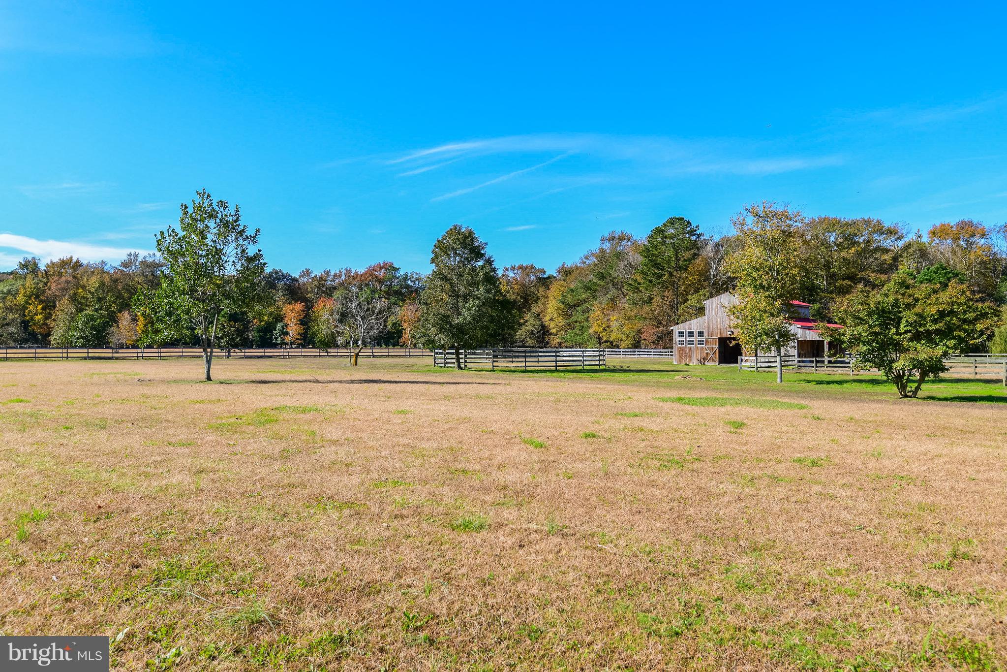 34645 Winding Road Frankford, DE 19945 - Photo 55 of 111 22acres of land with horse barn and pastures