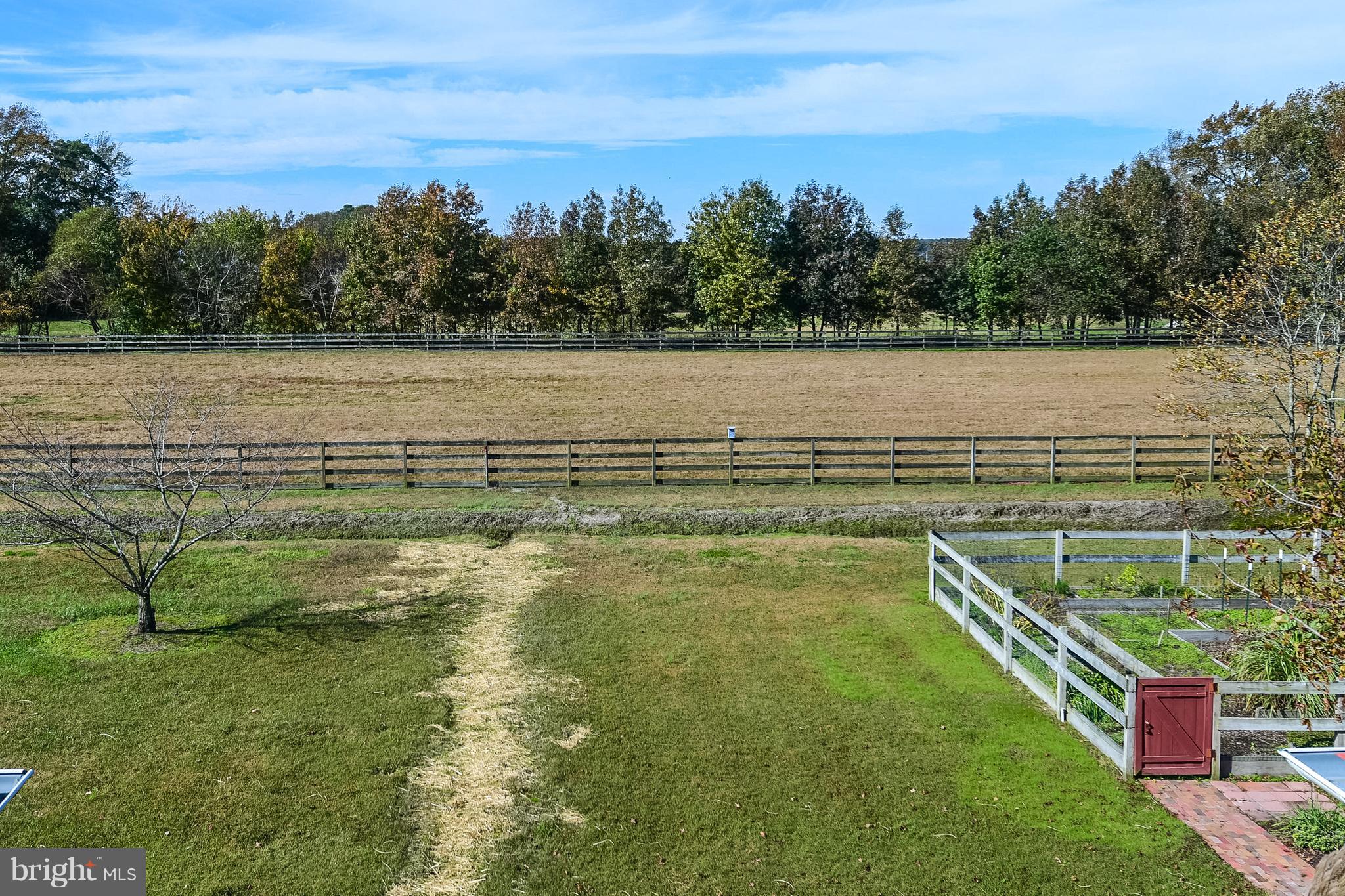 34645 Winding Road Frankford, DE 19945 - Photo 60 of 111 View of the pastures