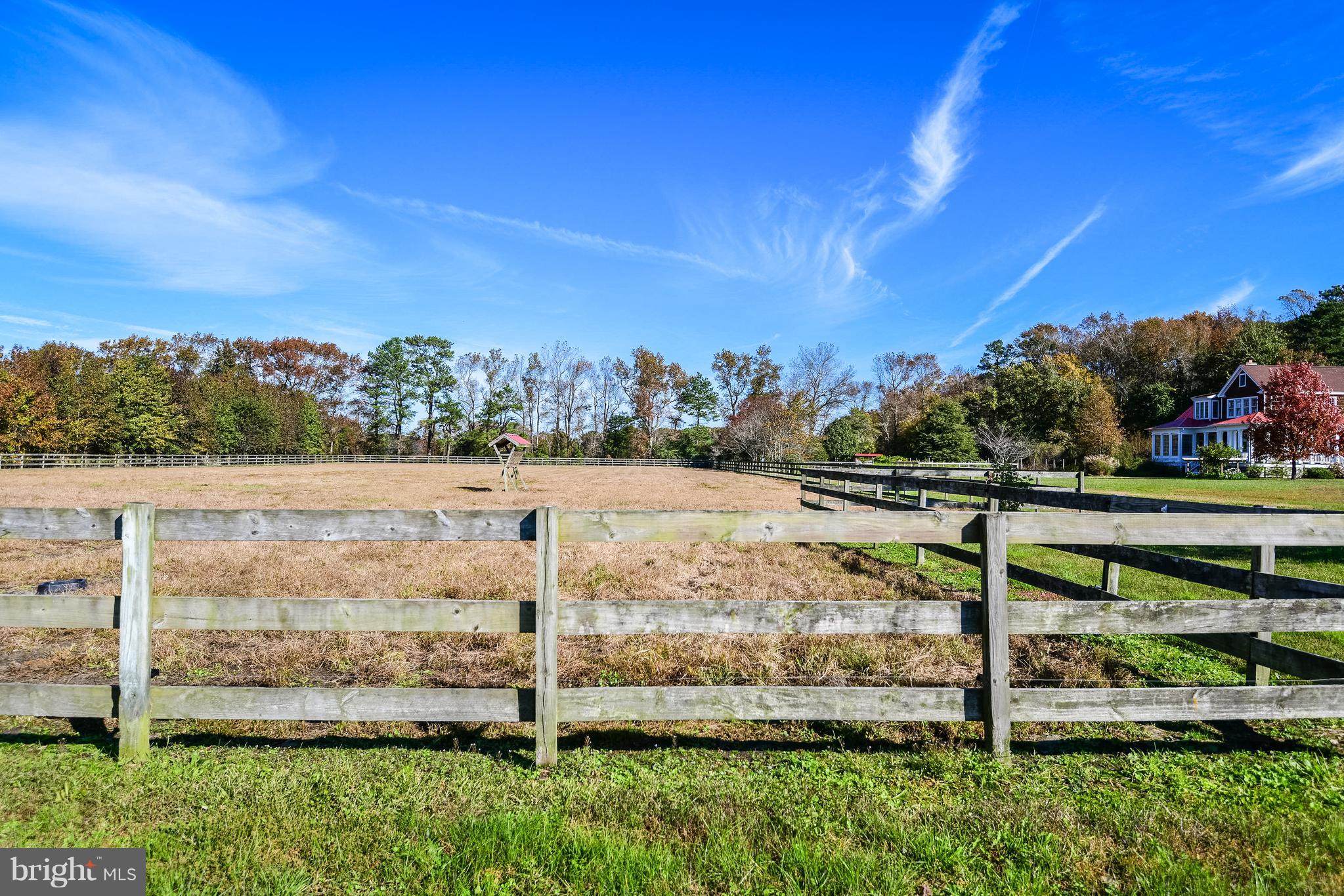34645 Winding Road Frankford, DE 19945 - Photo 61 of 111 Pasture with view of the home