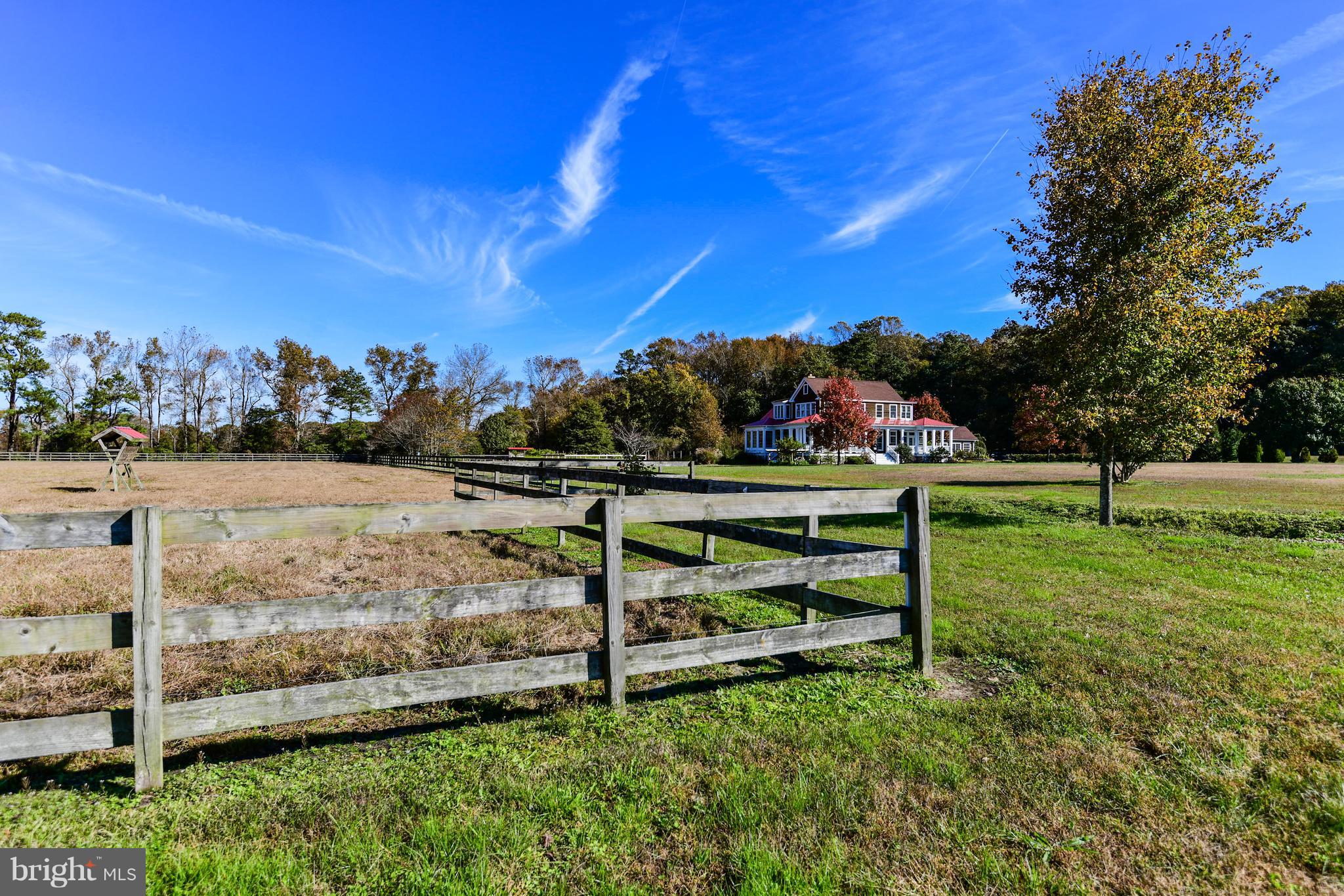 34645 Winding Road Frankford, DE 19945 - Photo 62 of 111 Pasture with view of the home