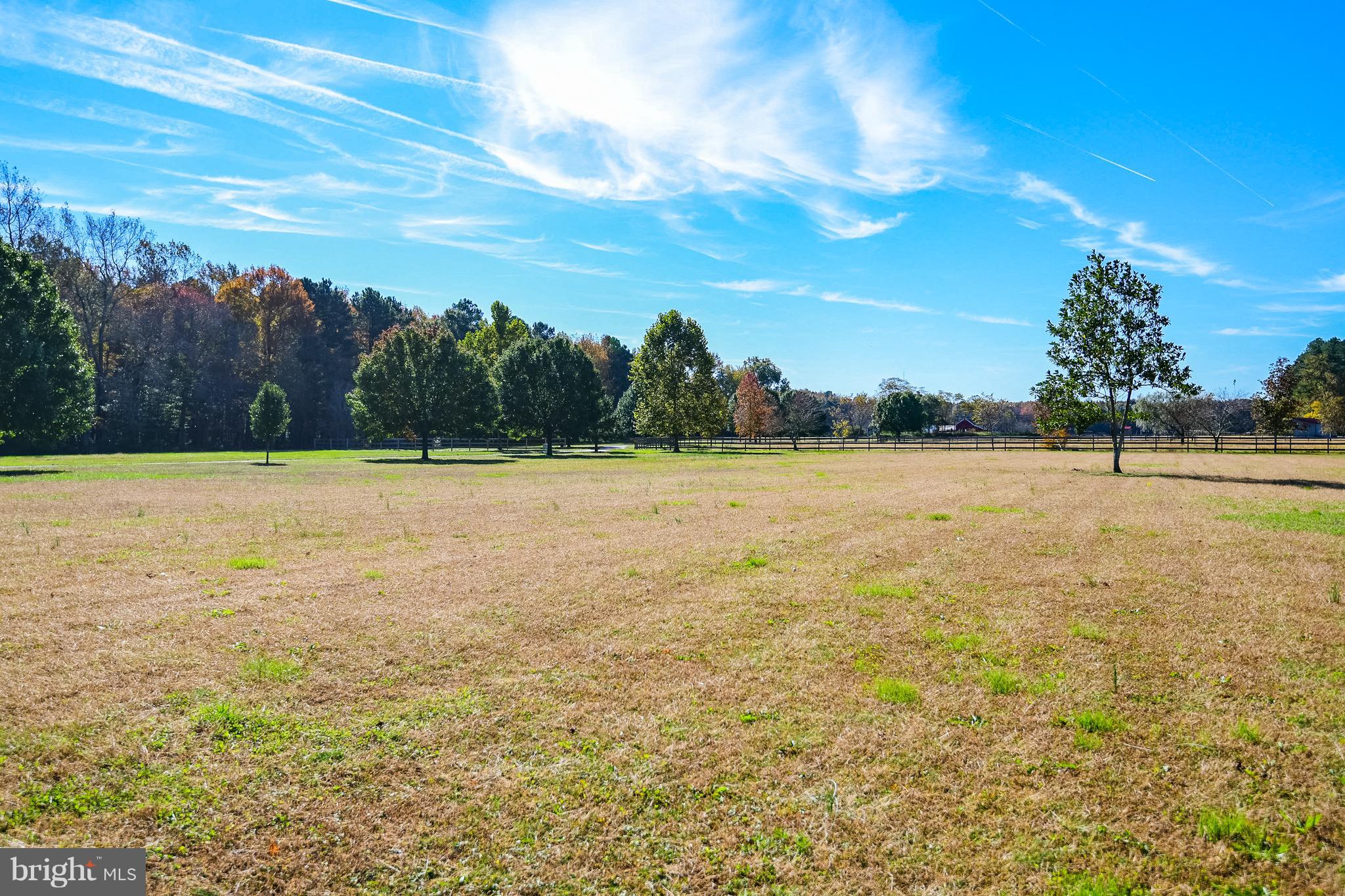 34645 Winding Road Frankford, DE 19945 - Photo 63 of 111 Peaceful country setting