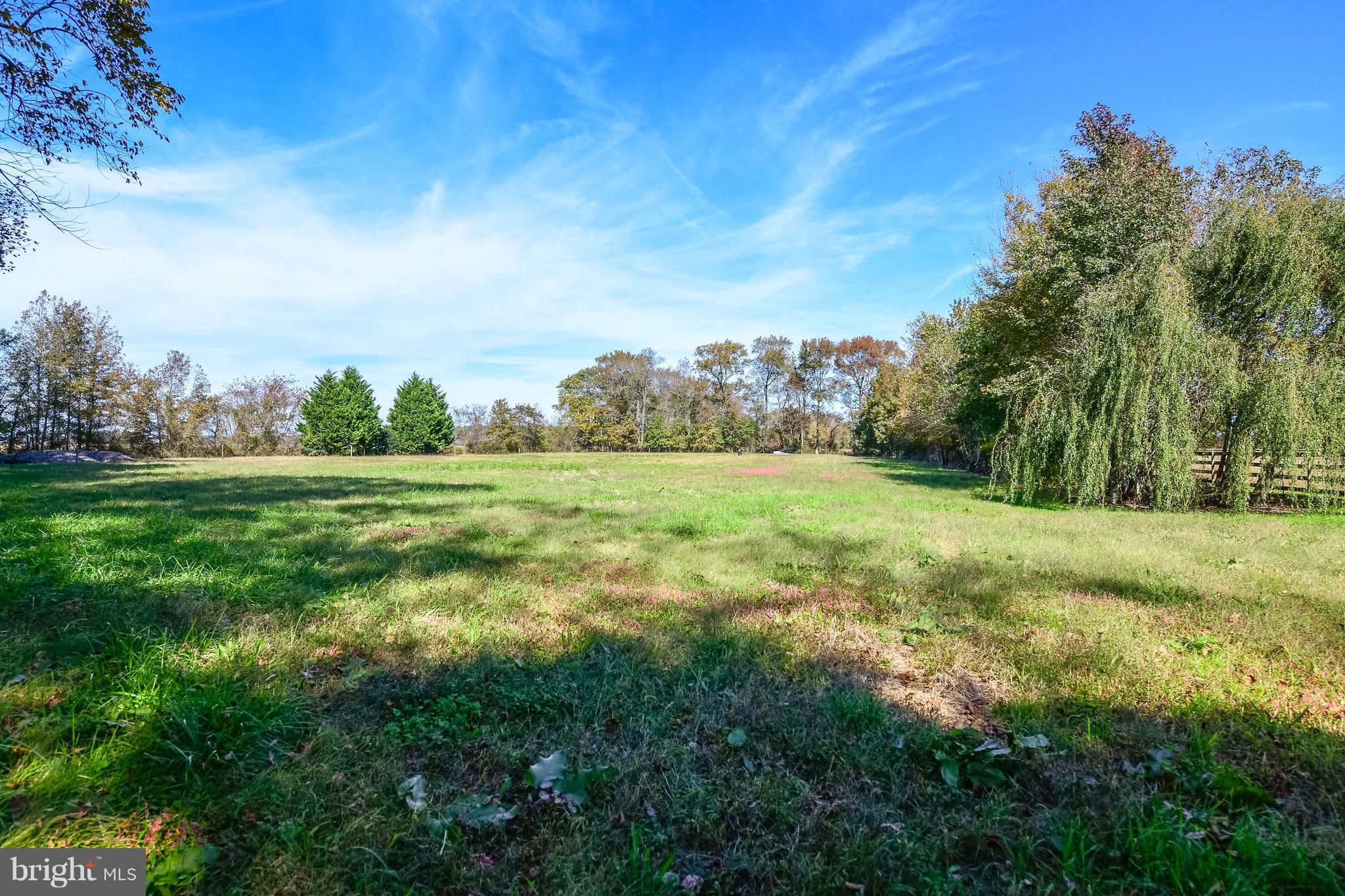 34645 Winding Road Frankford, DE 19945 - Photo 66 of 111 Yard with mature trees