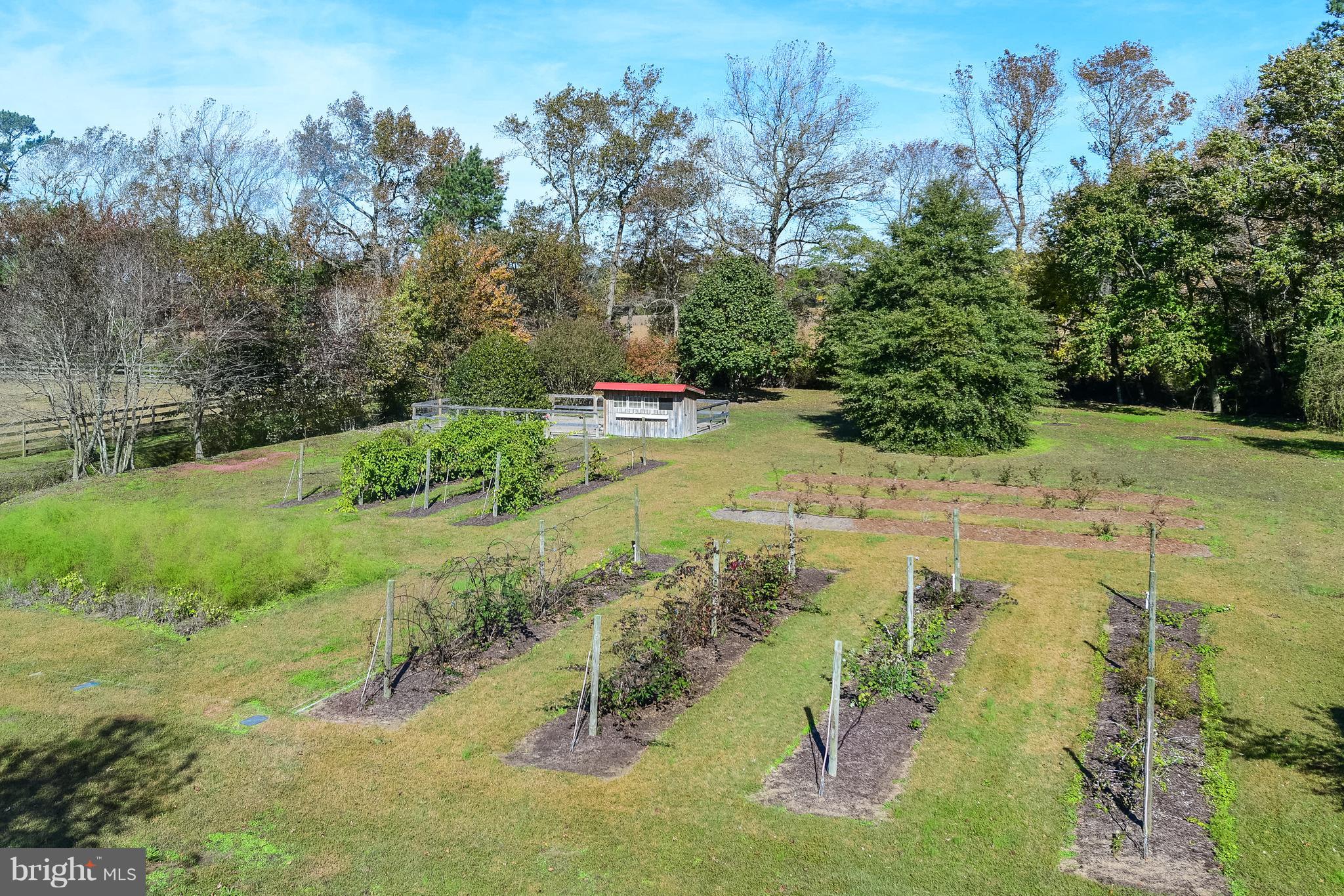 34645 Winding Road Frankford, DE 19945 - Photo 74 of 111 Large garden