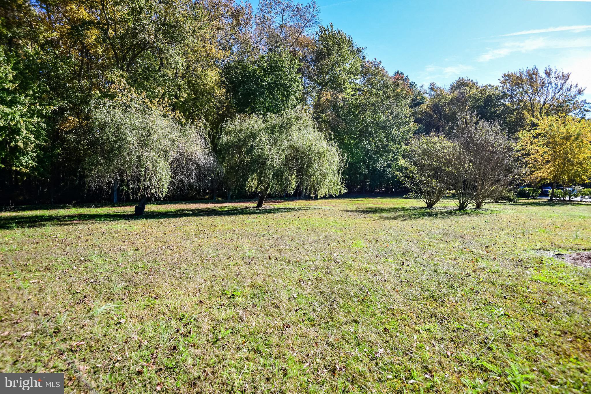 34645 Winding Road Frankford, DE 19945 - Photo 76 of 111 Large yard with mature trees