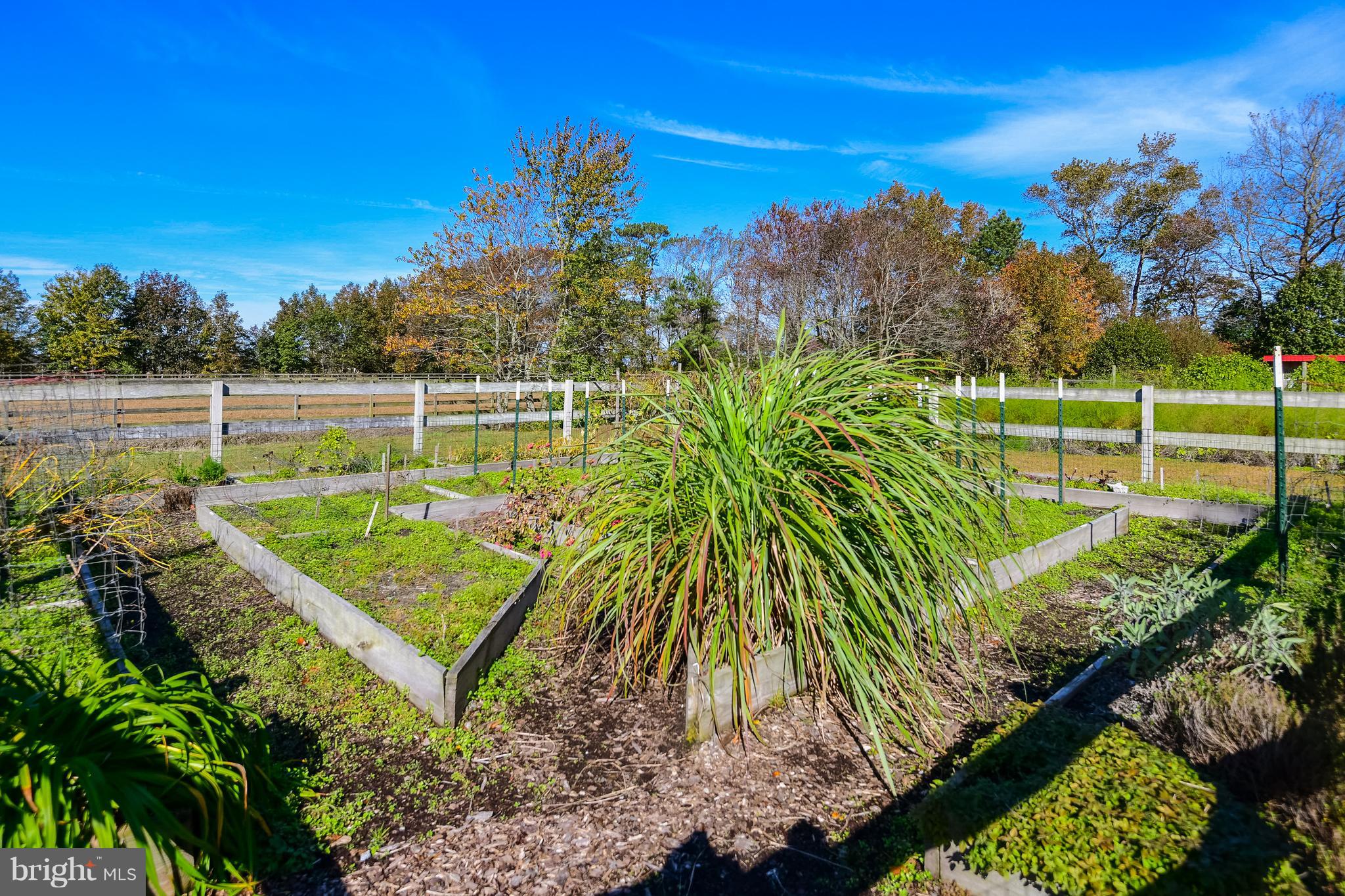 34645 Winding Road Frankford, DE 19945 - Photo 81 of 111 Fenced in herb garden