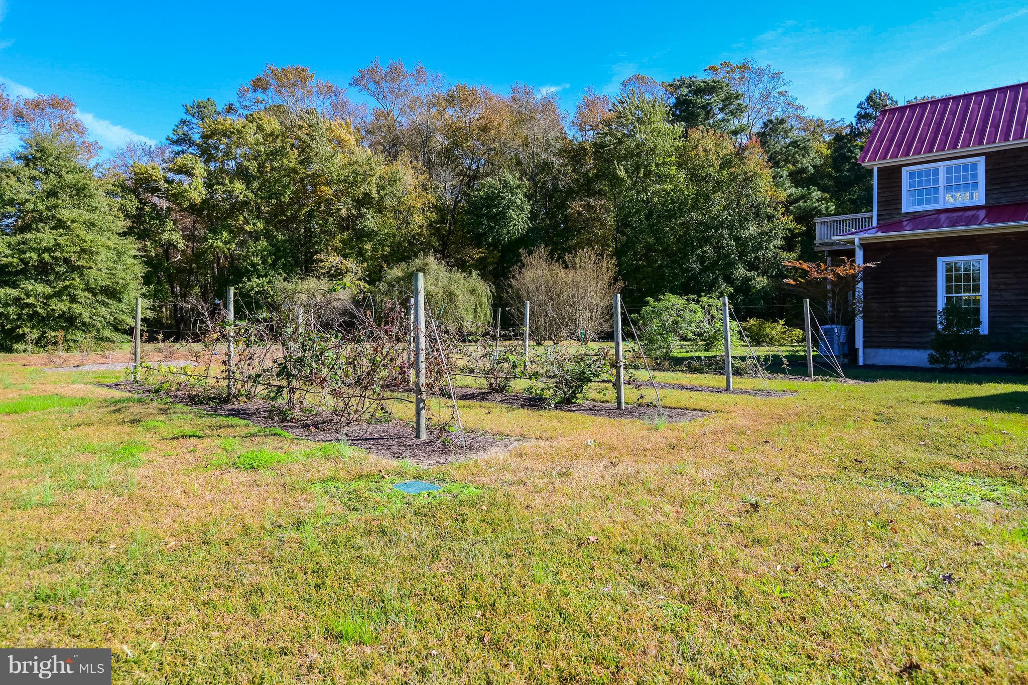 34645 Winding Road Frankford, DE 19945 - Photo 82 of 111 Large garden