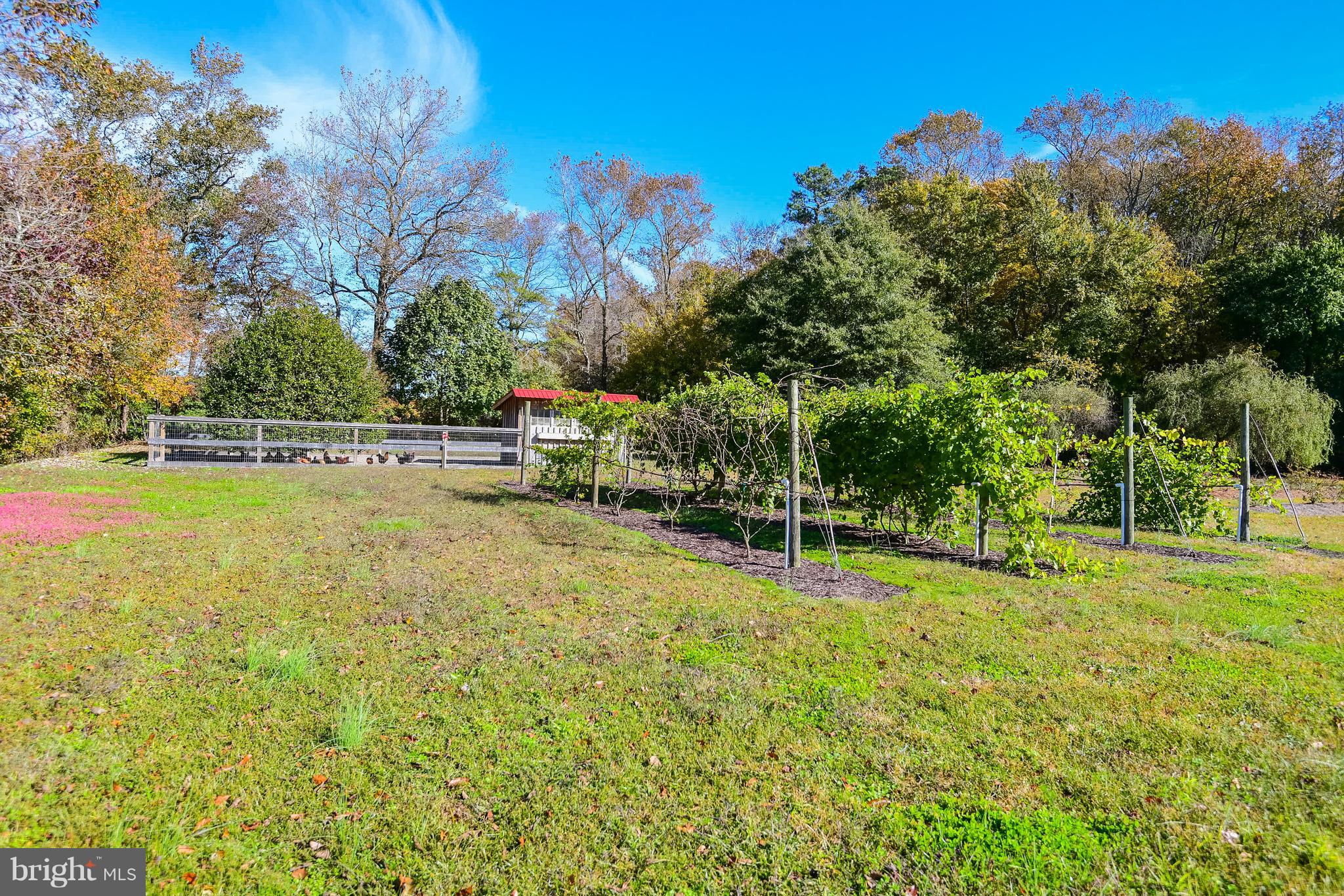 34645 Winding Road Frankford, DE 19945 - Photo 83 of 111 Large garden