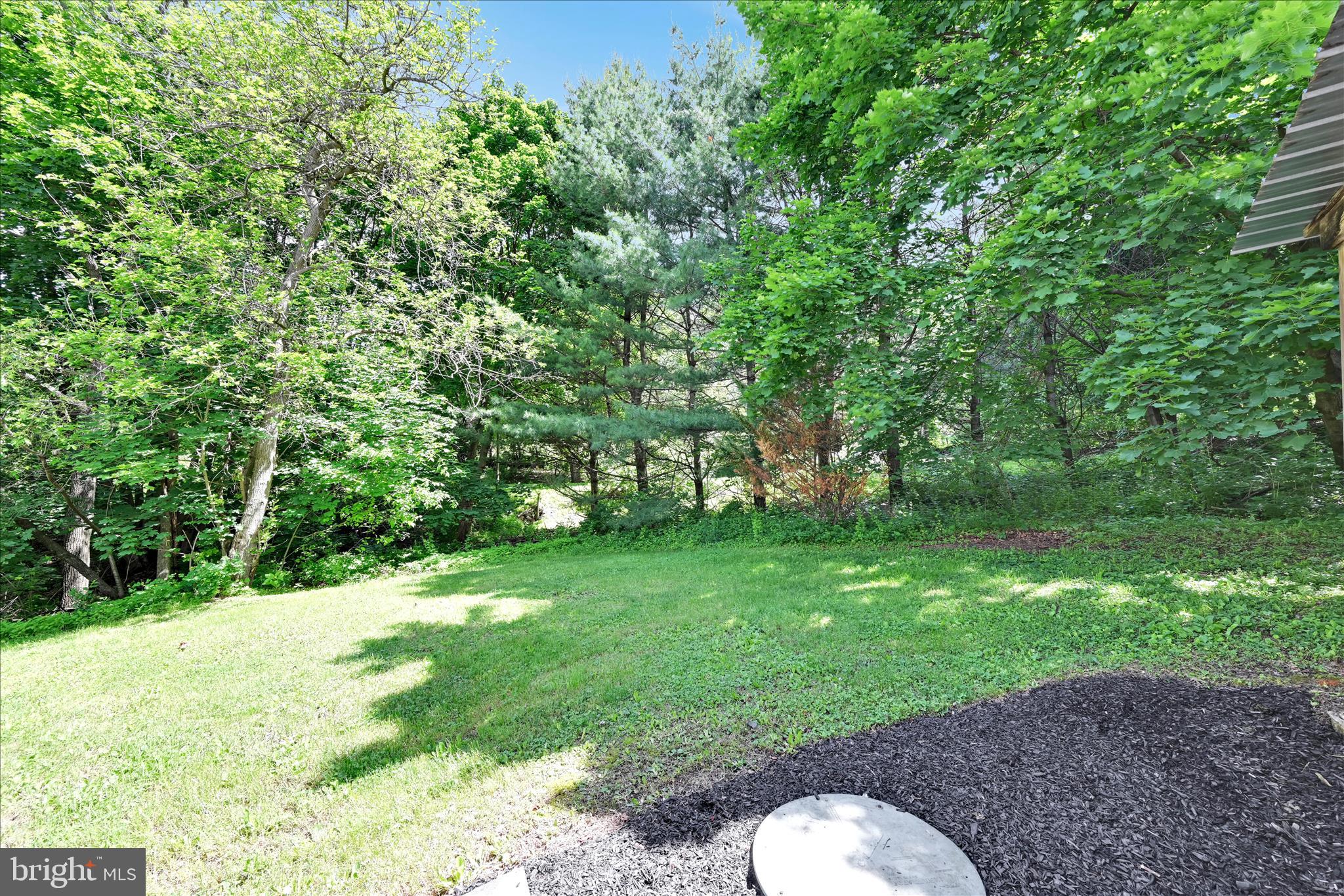 415 Snyder School Road Bernville, PA 19506 - Photo 26 of 38 Backyard