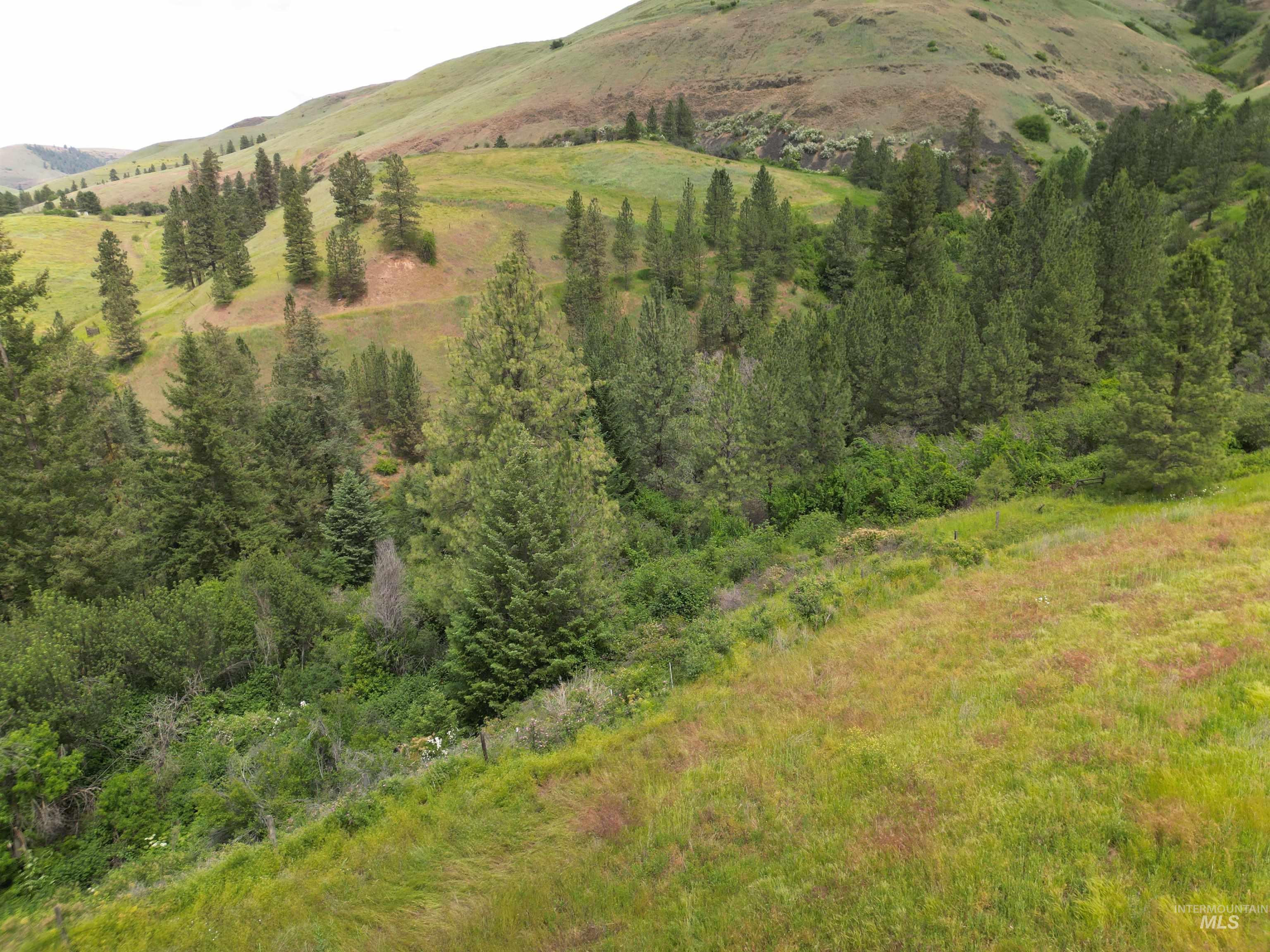 0 American Ridge Road Kendrick, ID 83537 - Photo 19 of 21