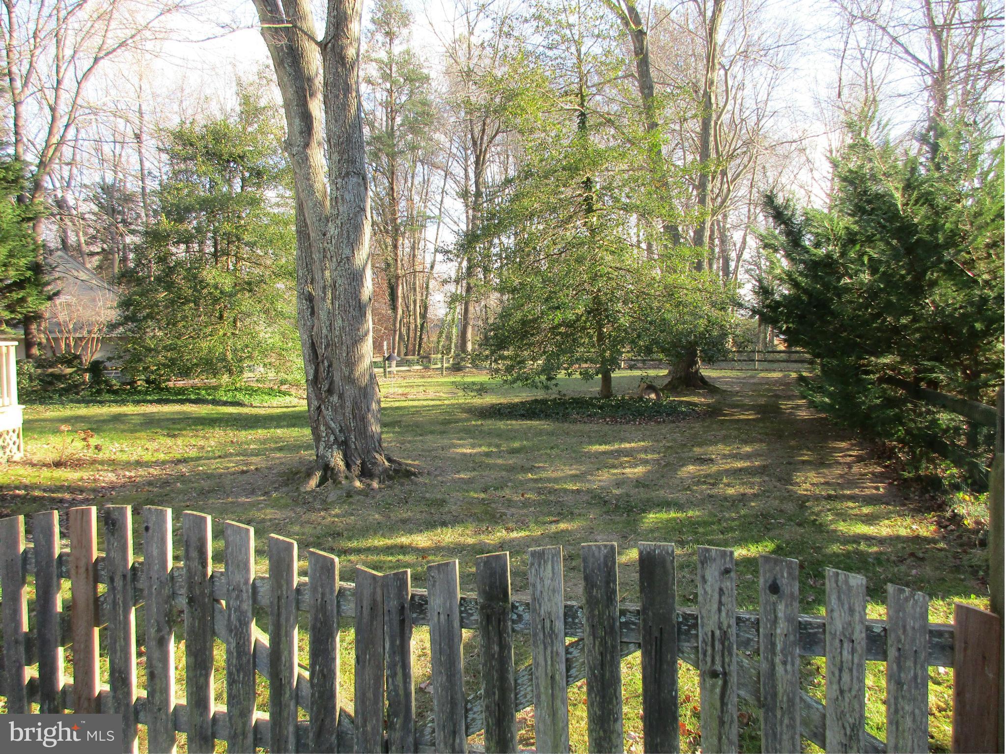 204 Birch Run Road Chestertown, MD 21620 - Photo 2 of 29 Fenced Back Yard