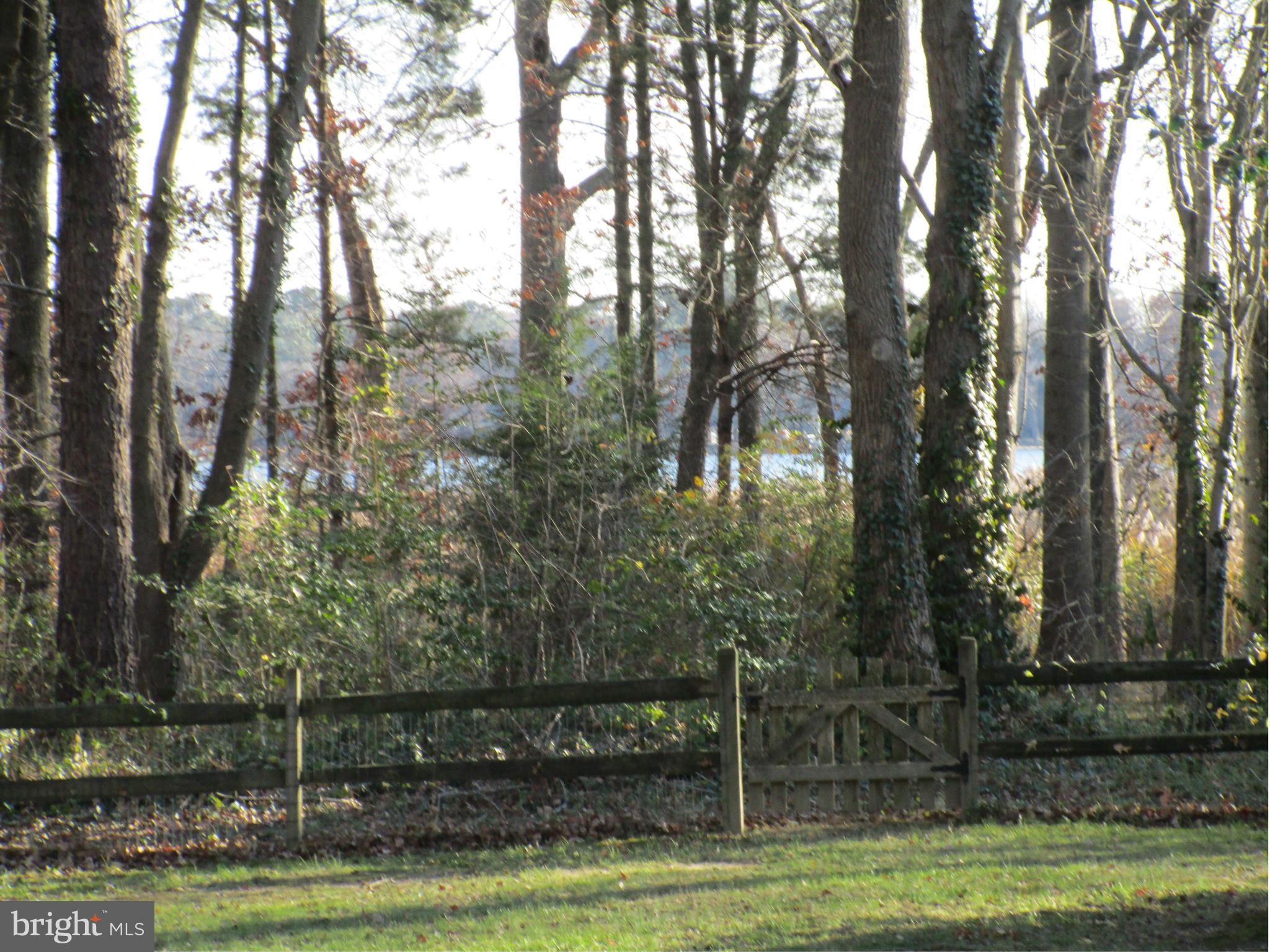 204 Birch Run Road Chestertown, MD 21620 - Photo 11 of 29 View of the Chester