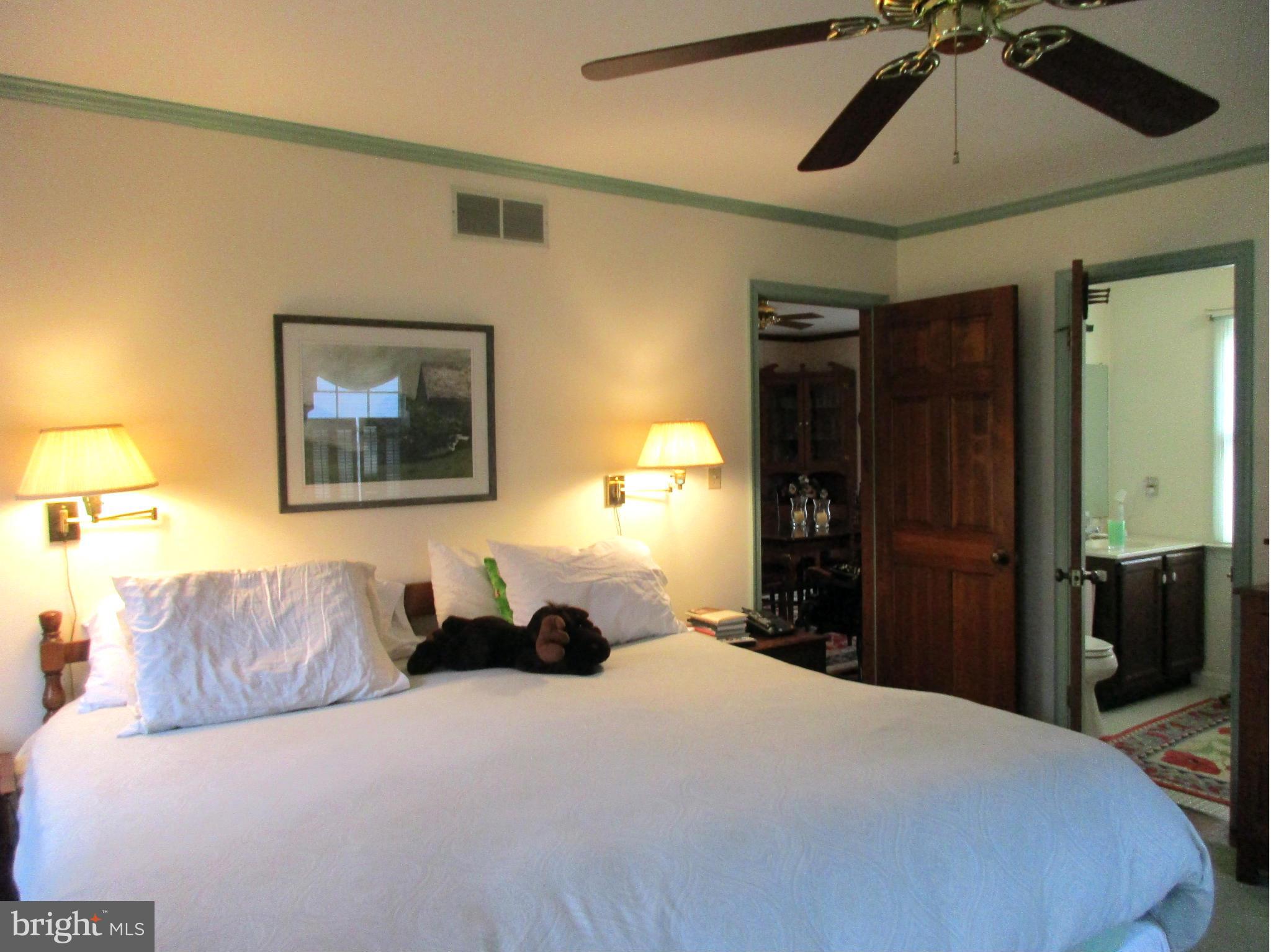 204 Birch Run Road Chestertown, MD 21620 - Photo 13 of 29 Bedroom (Master)