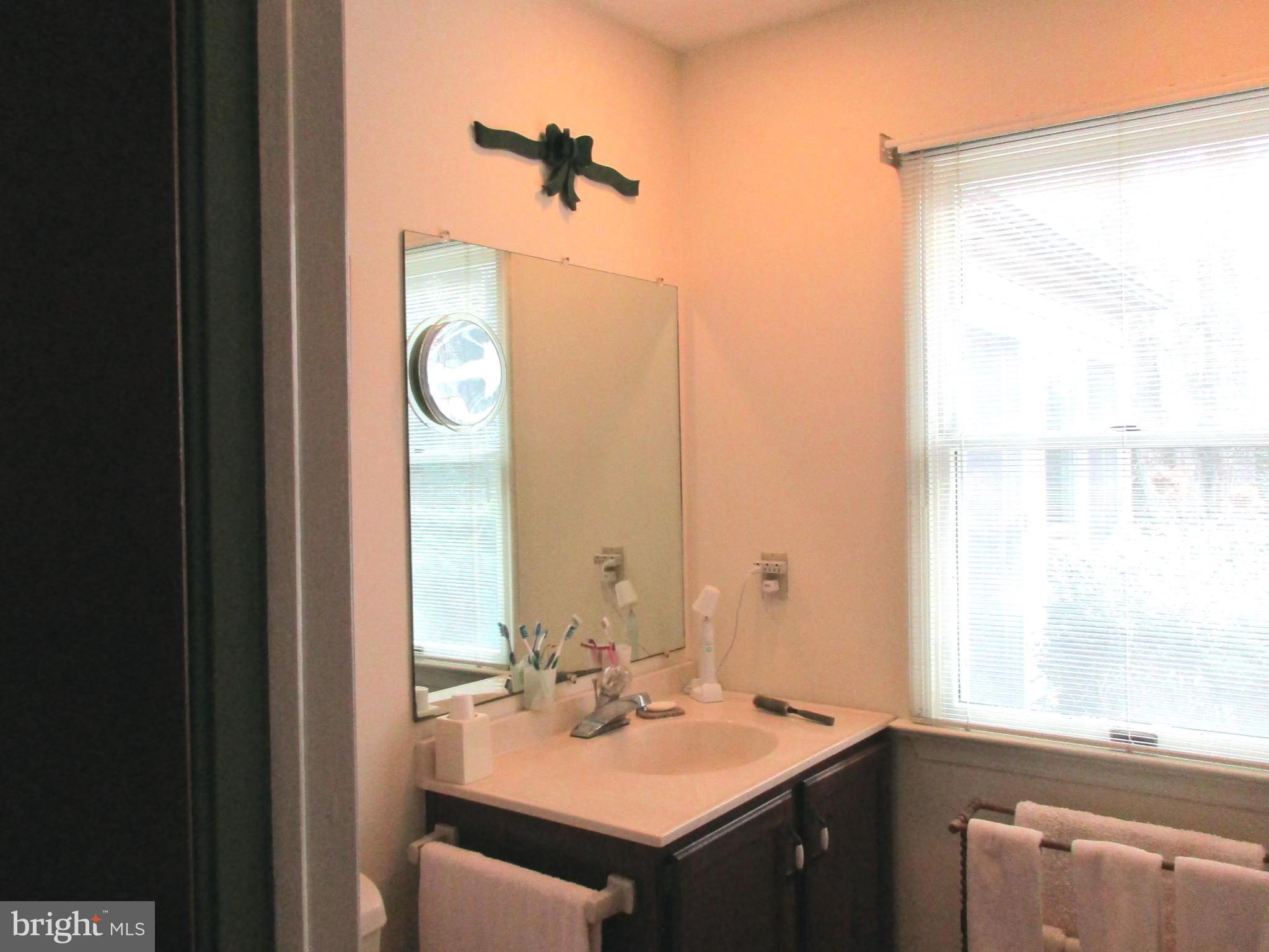 204 Birch Run Road Chestertown, MD 21620 - Photo 14 of 29 Bath (Master)