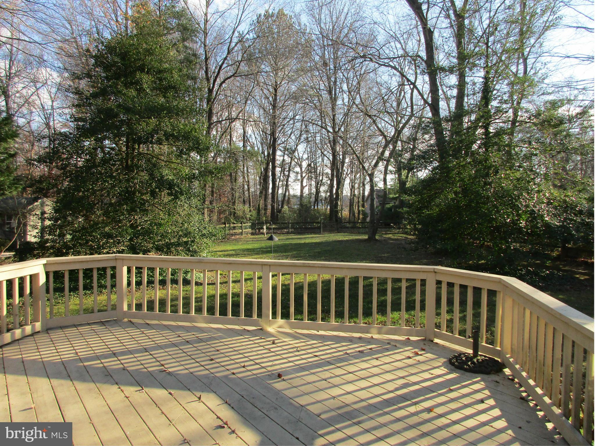 204 Birch Run Road Chestertown, MD 21620 - Photo 10 of 29 Rear Deck with River in the Distance