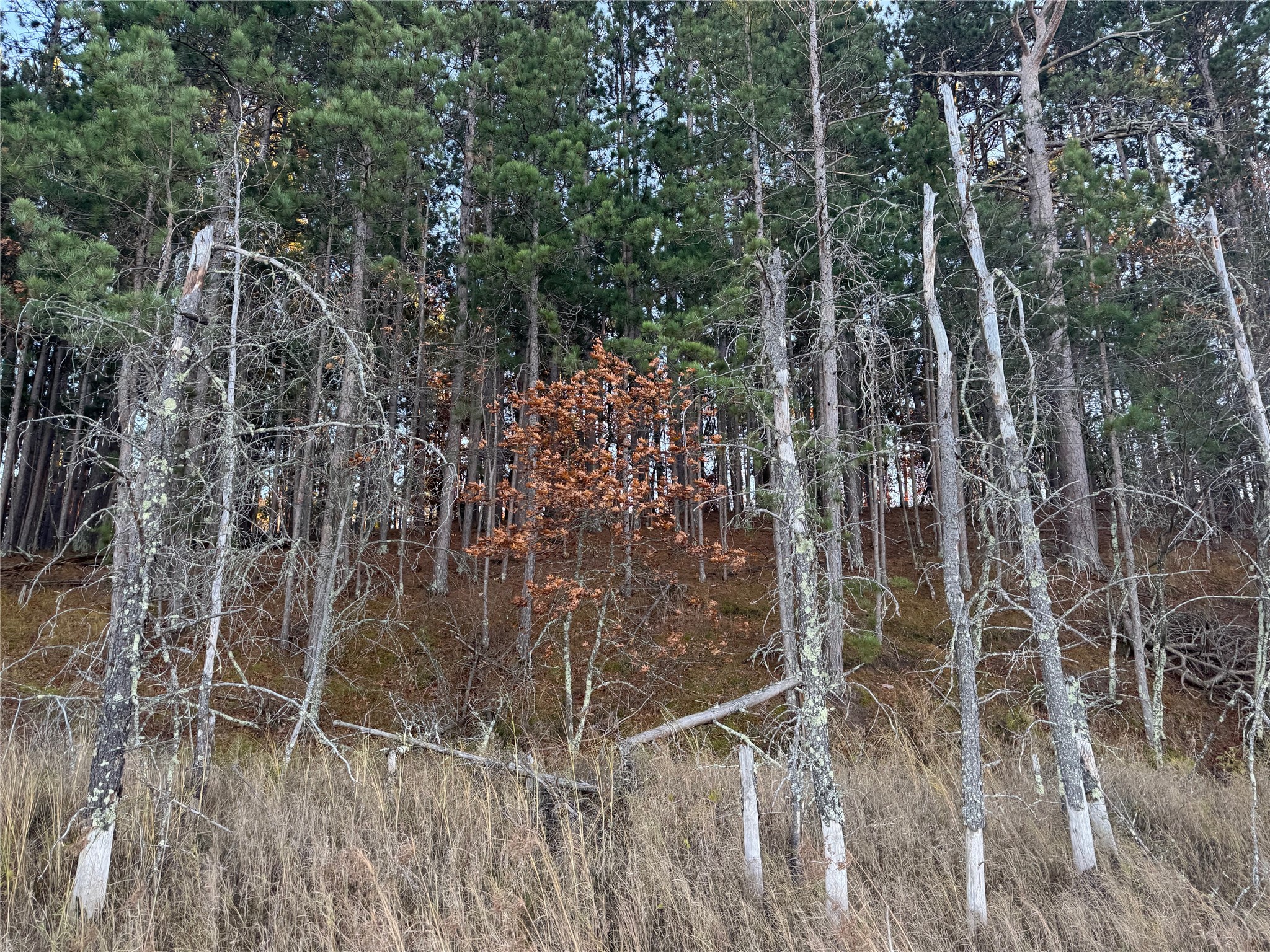 Lot 4 Big Sand Road Minong, WI 54859 - Photo 24 of 38