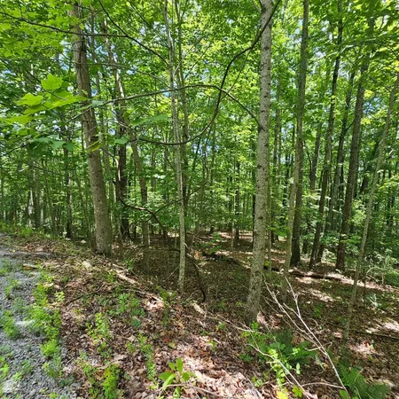 $39,000 | Lot 555 Oak Leaf Lane, Unit 555, Dunlap, TN 37327