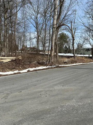 a view of dirt yard with large trees