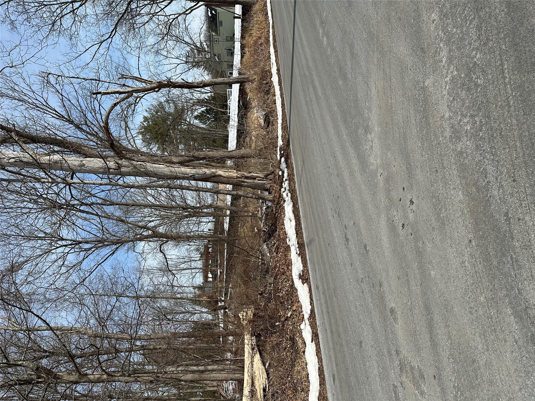 a view of dirt yard with large trees