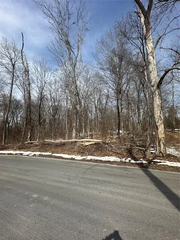 a view of a backyard of the house