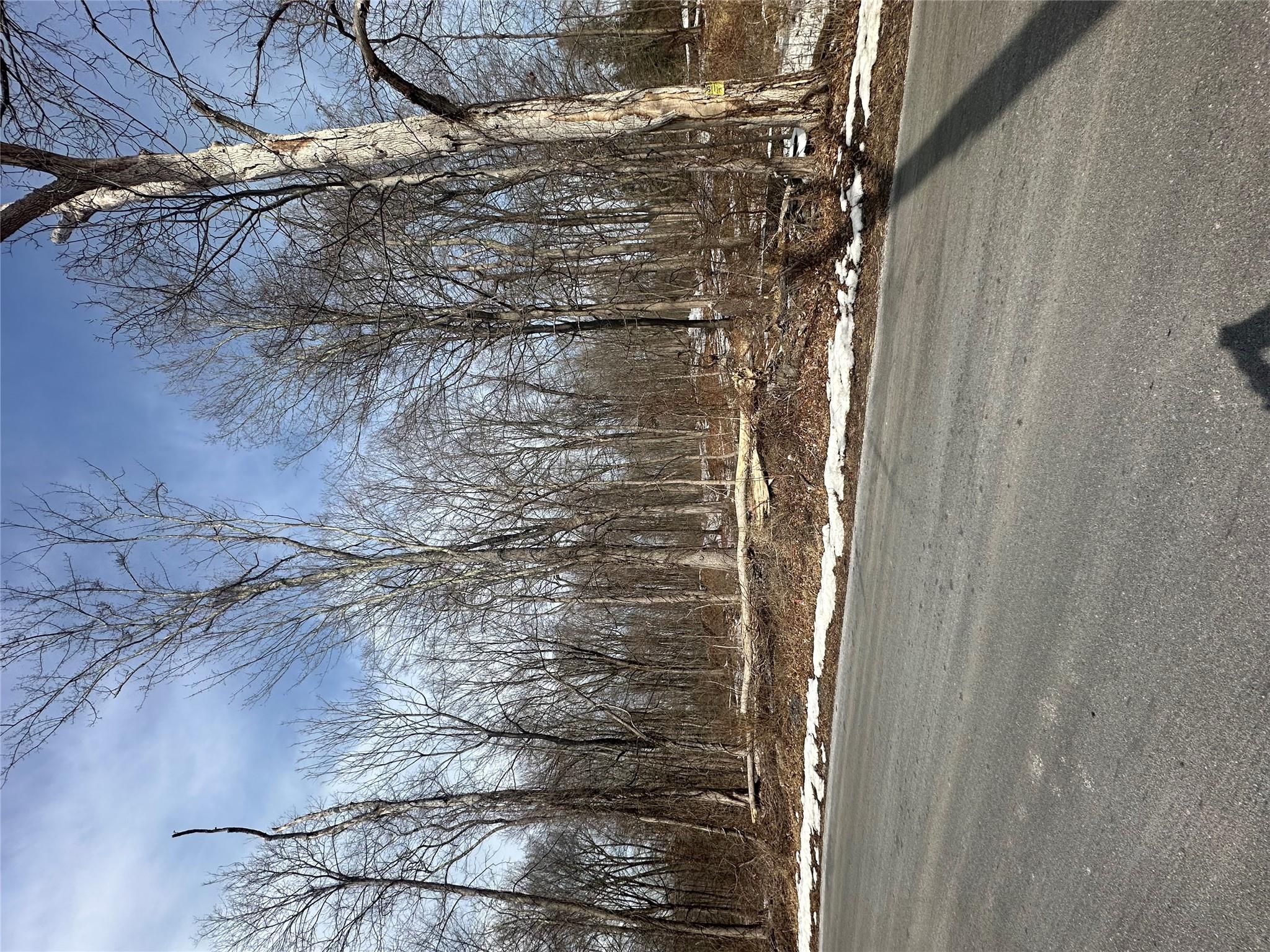 109 Cardinal Road Hyde Park, NY 12538 - Photo 2 of 6