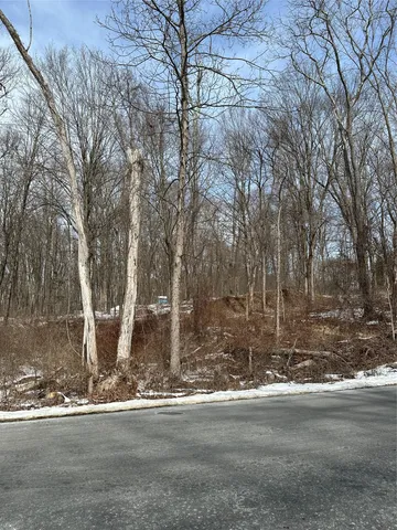 a view of dirt yard with a large tree