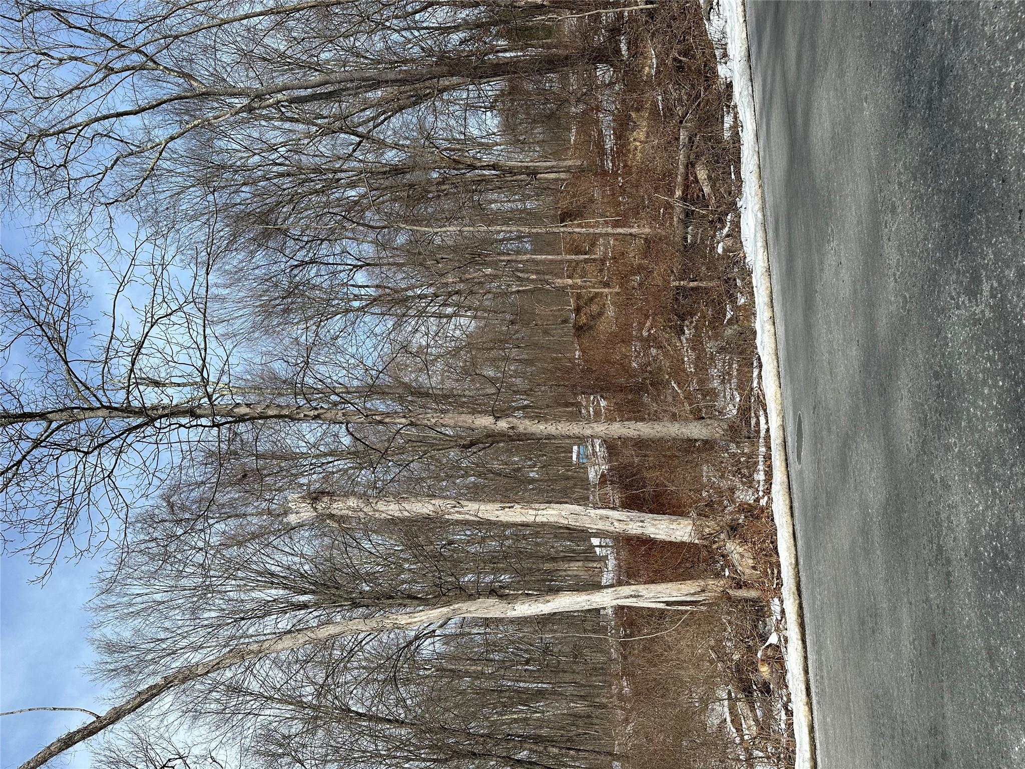 109 Cardinal Road Hyde Park, NY 12538 - Photo 3 of 6 a view of a backyard of the house