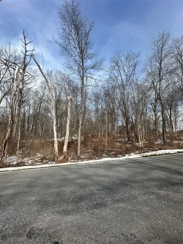a view of tree next to a yard