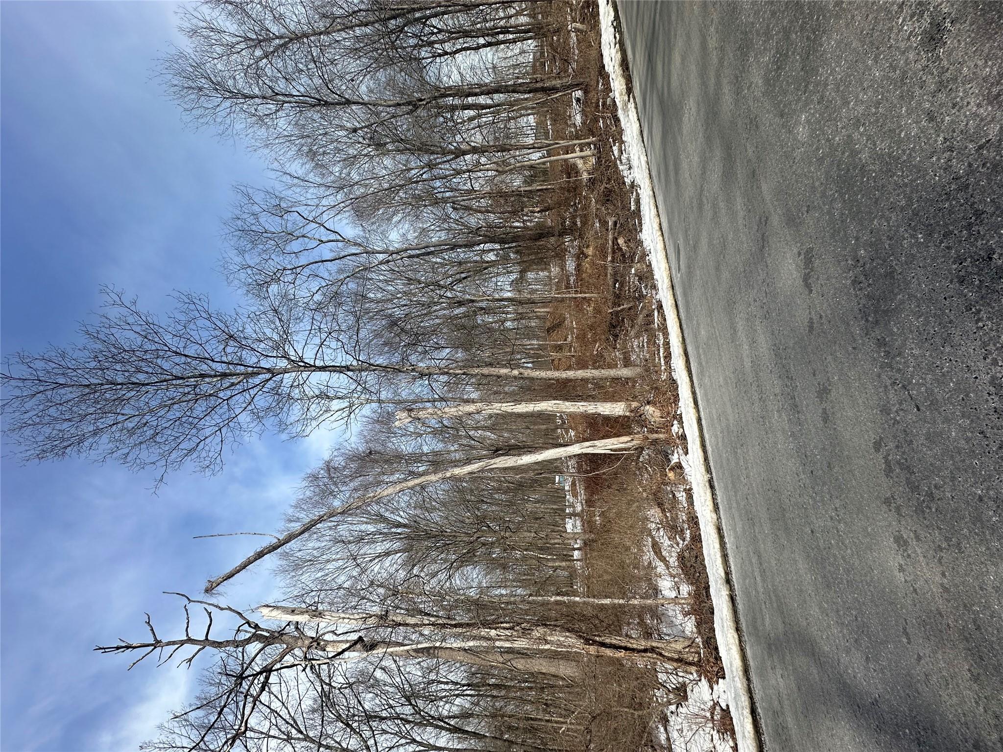 109 Cardinal Road Hyde Park, NY 12538 - Photo 5 of 6 a view of tree next to a yard