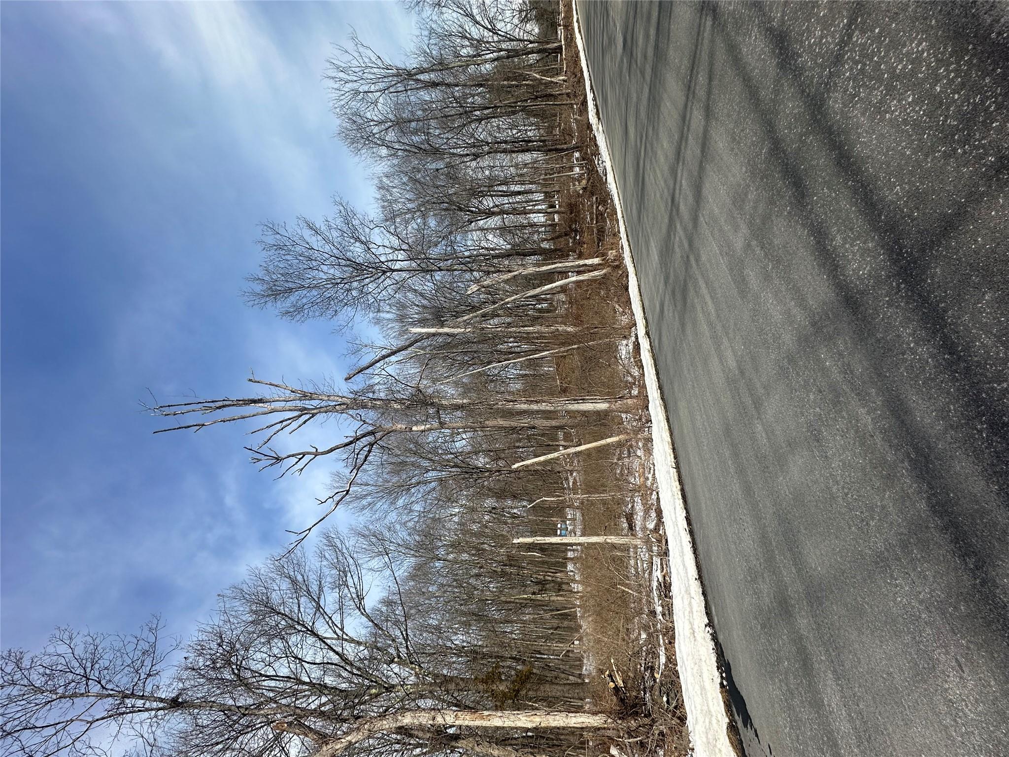 109 Cardinal Road Hyde Park, NY 12538 - Photo 6 of 6