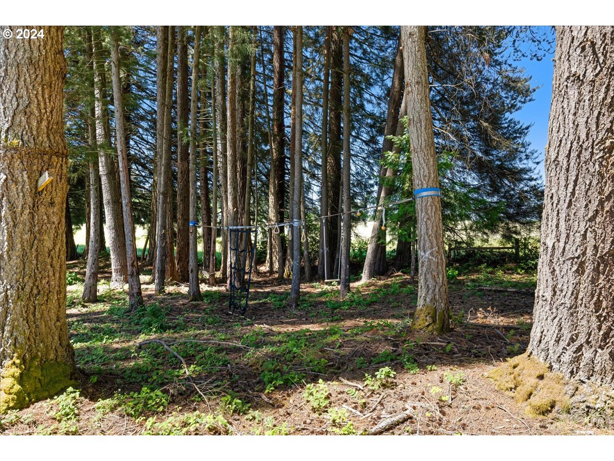 38203 Southeast Porter Road Estacada, OR 97023 - Photo 41 of 48 Gallery Image 41
