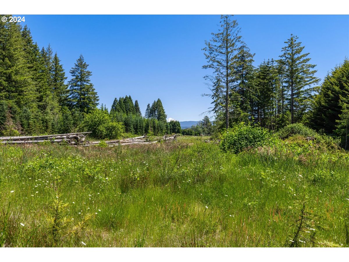 38203 Southeast Porter Road Estacada, OR 97023 - Photo 42 of 48 Gallery Image 42