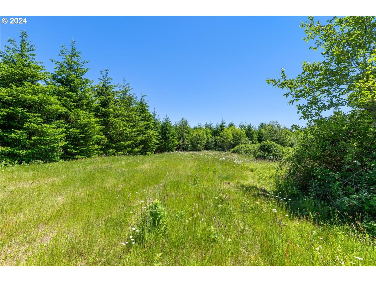 38203 Southeast Porter Road Estacada, OR 97023 - Photo 45 of 48 Gallery Image 45