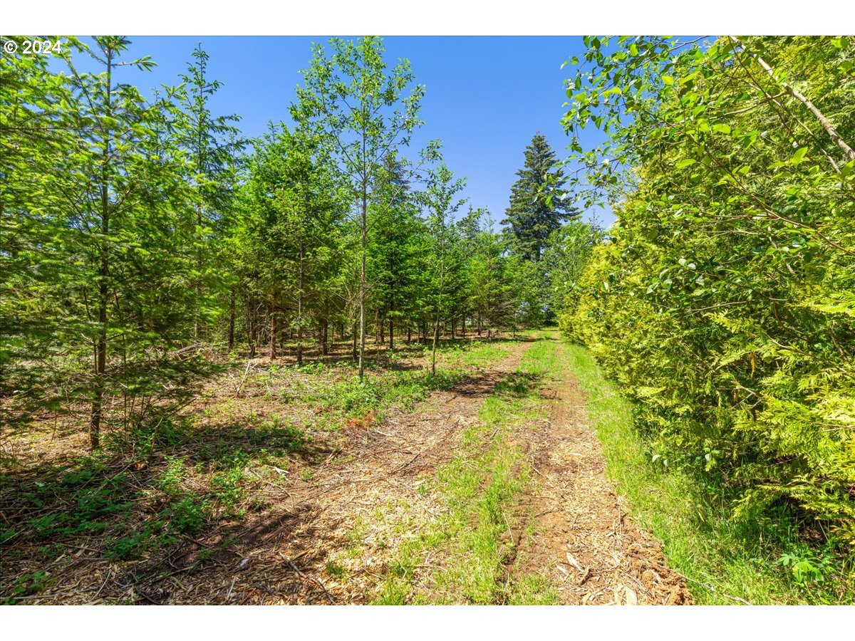 38203 Southeast Porter Road Estacada, OR 97023 - Photo 46 of 48 Gallery Image 46
